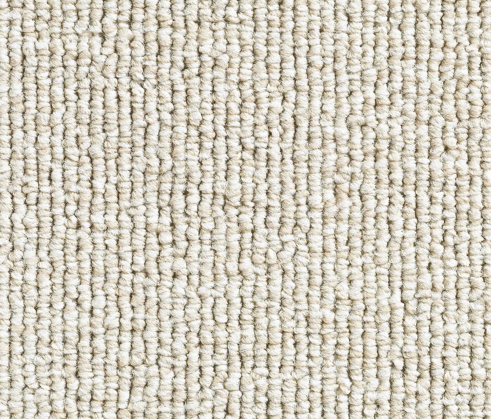 Carpet Concept - Concept 501 - 102