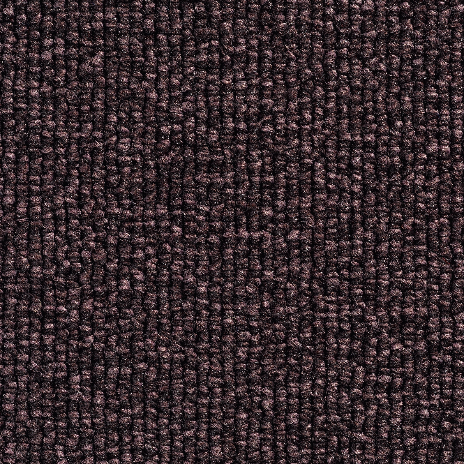 Concept 501 - 138