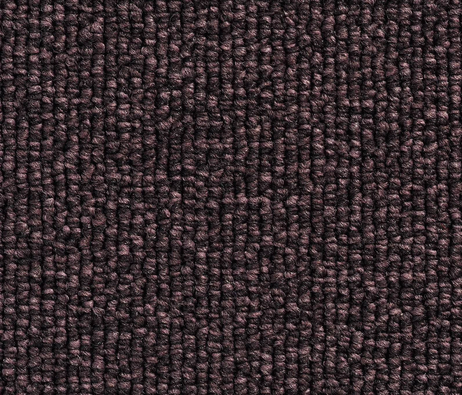 Carpet Concept - Concept 501 - 138
