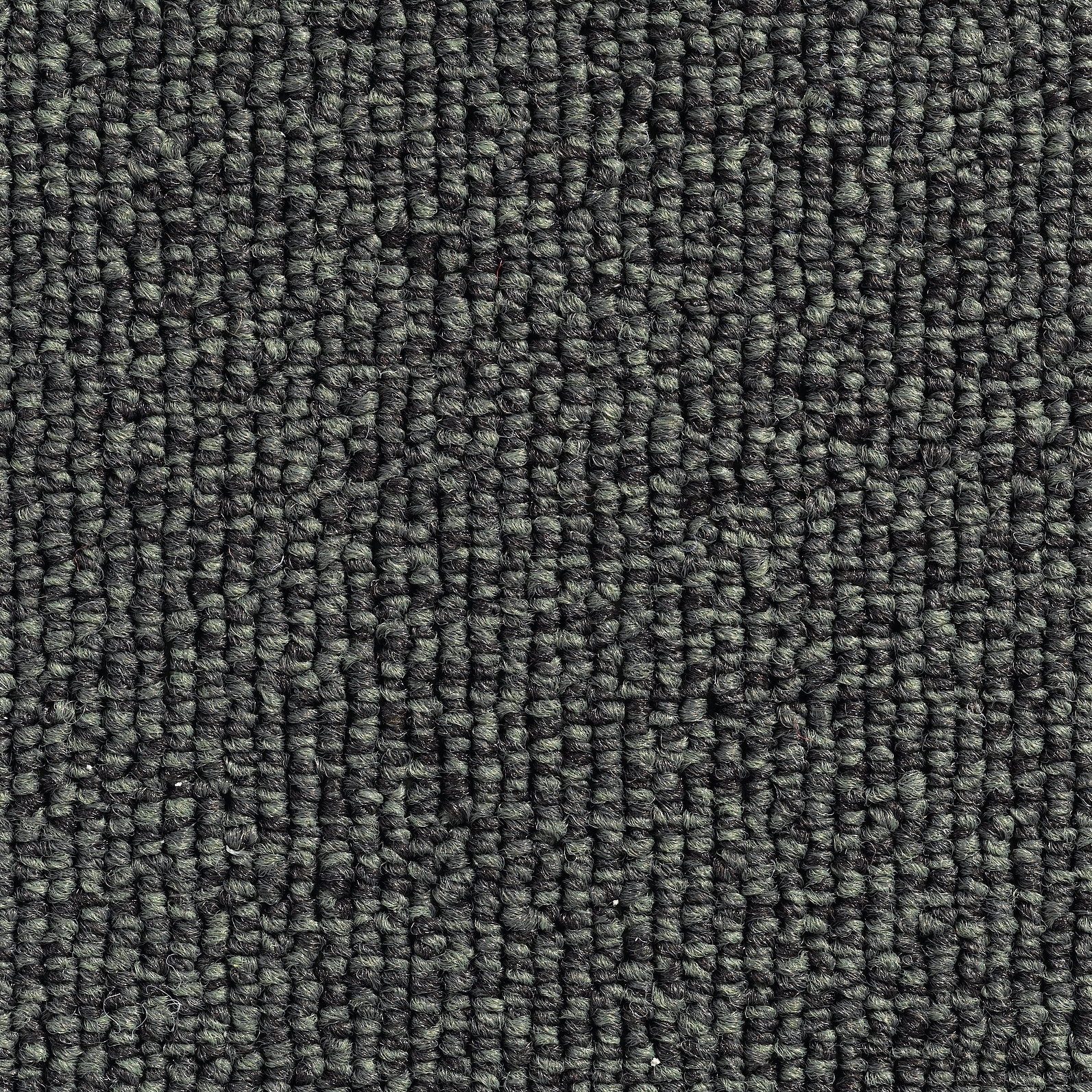 Concept 501 - 305