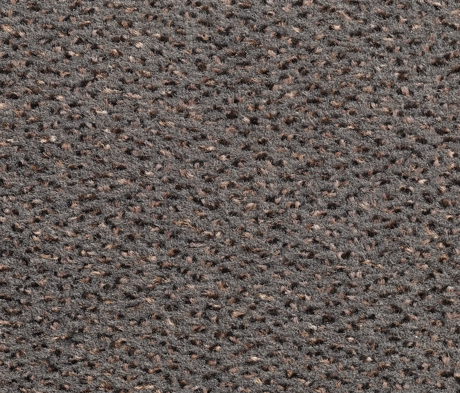 Carpet Concept - Concept 503 - 149