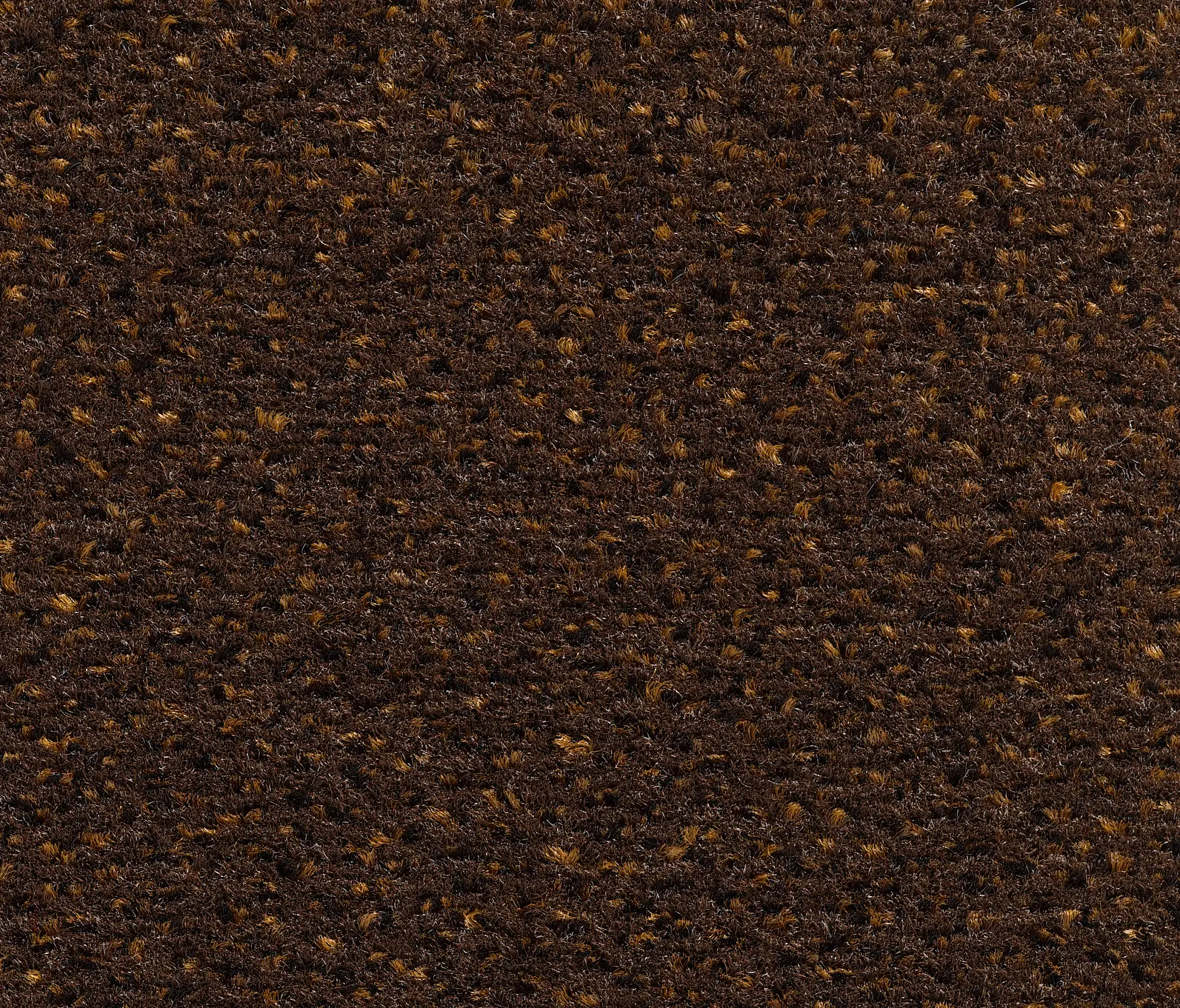 Carpet Concept - Concept 503 - 166