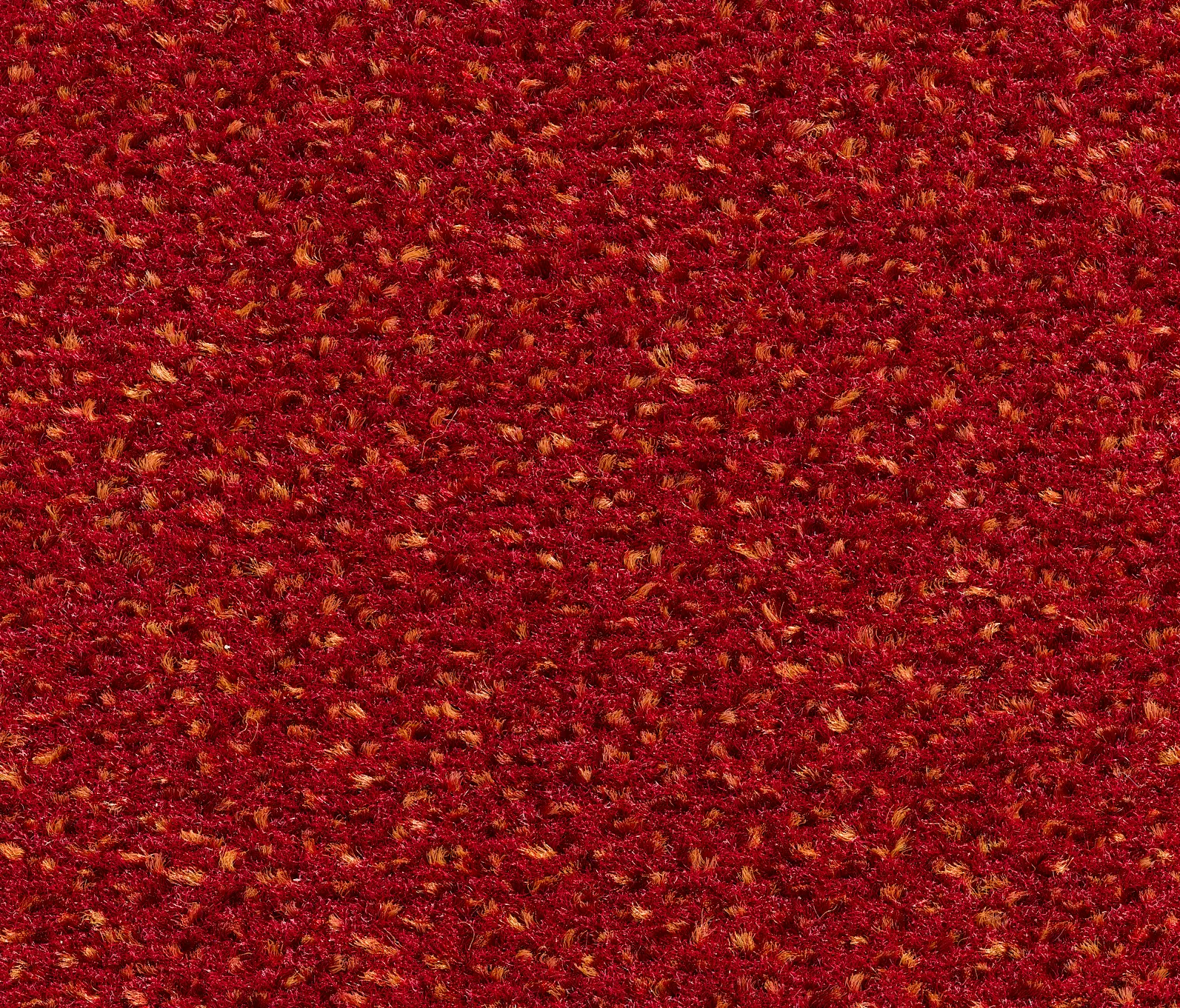 Carpet Concept - Concept 503 - 236