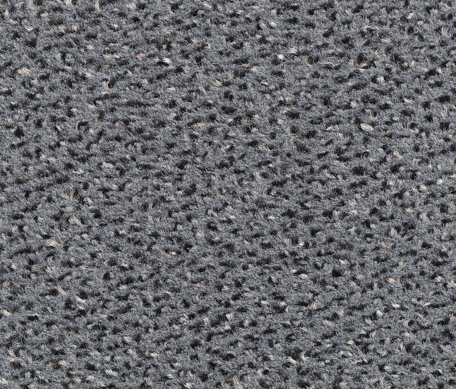 Carpet Concept - Concept 503 - 316