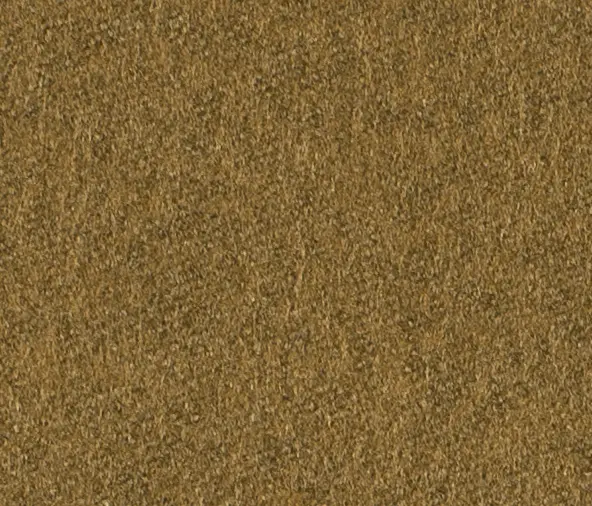 Carpet Concept - Lain 0029