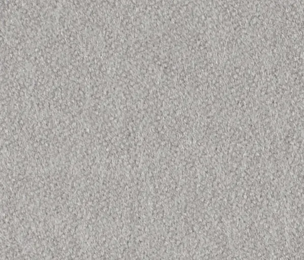 Carpet Concept - Lain 0003