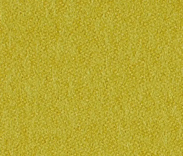 Carpet Concept - Lain 0023