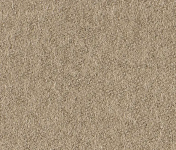 Carpet Concept - Lain 0045