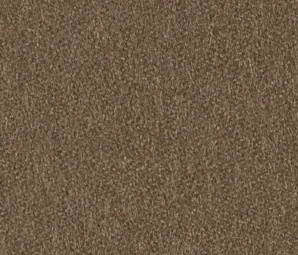 Carpet Concept - Lain 0077