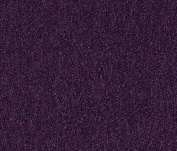 Carpet Concept - Lain 0098