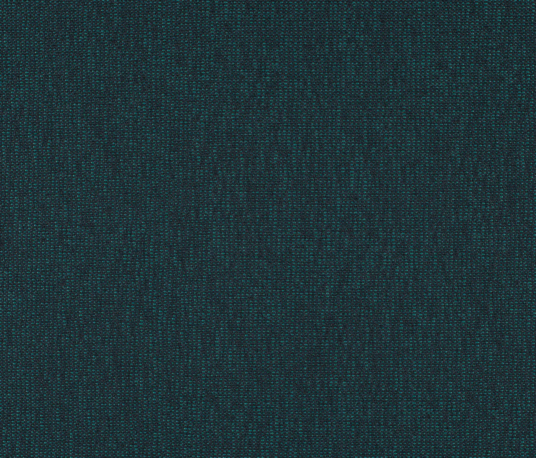 Carpet Concept - Drop 0011