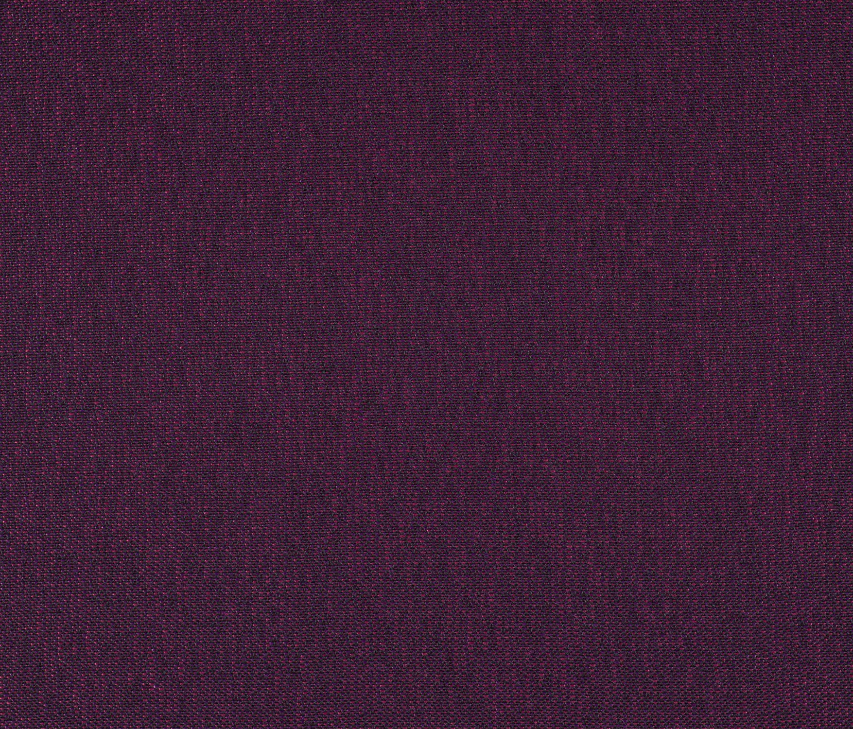 Carpet Concept - Drop 0016