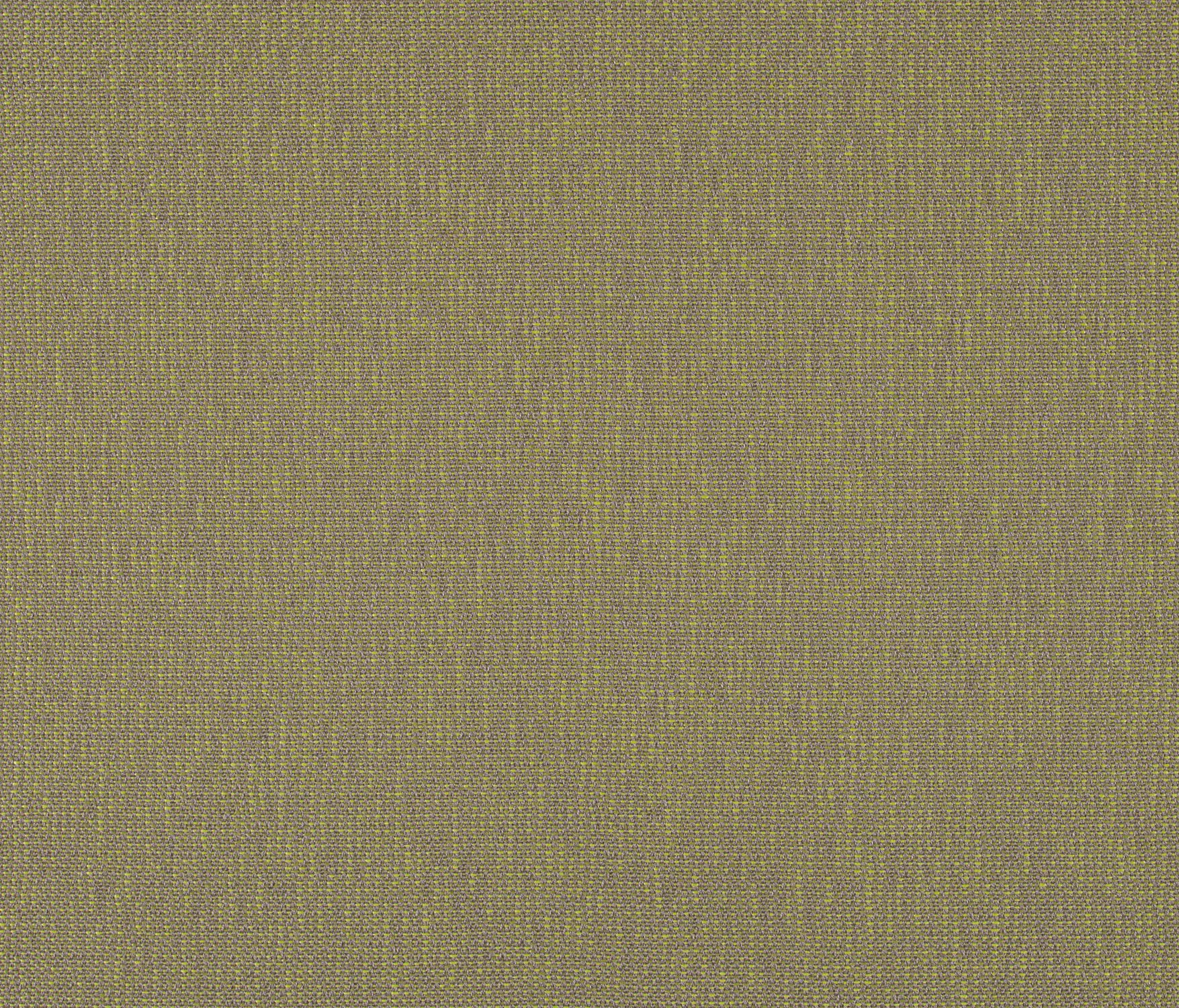 Carpet Concept - Drop 0020