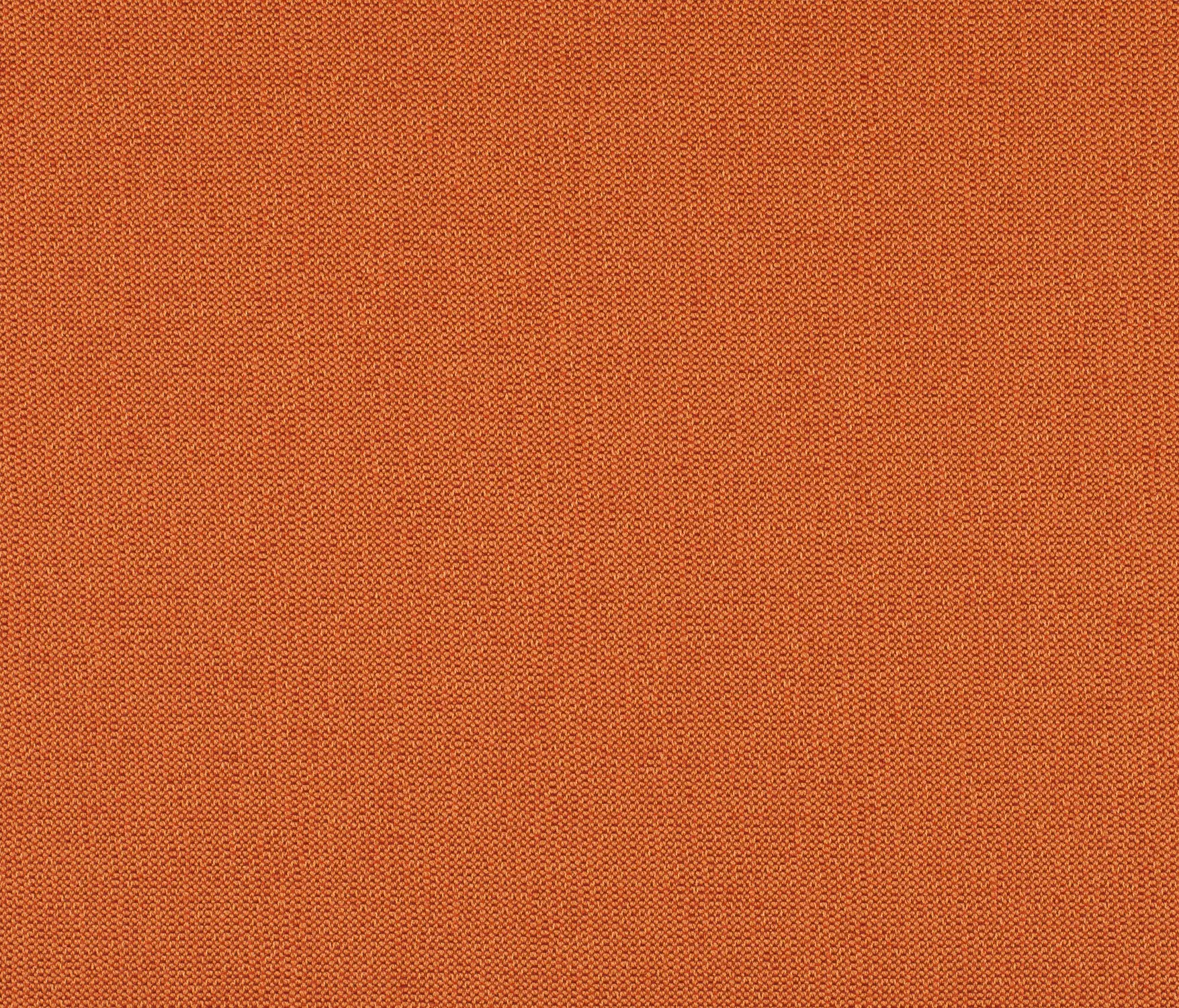 Carpet Concept - Drop 0036