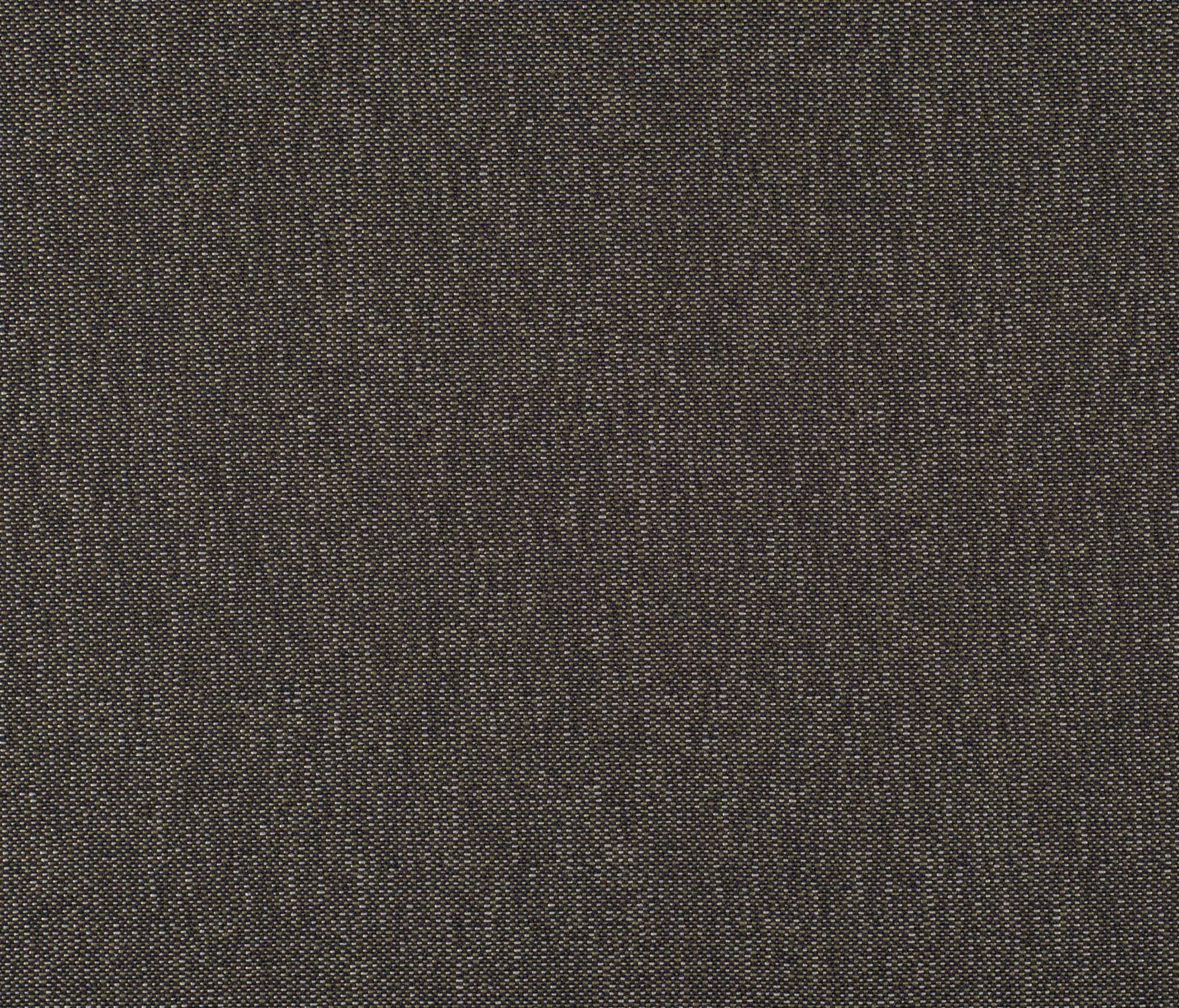 Carpet Concept - Drop 0050