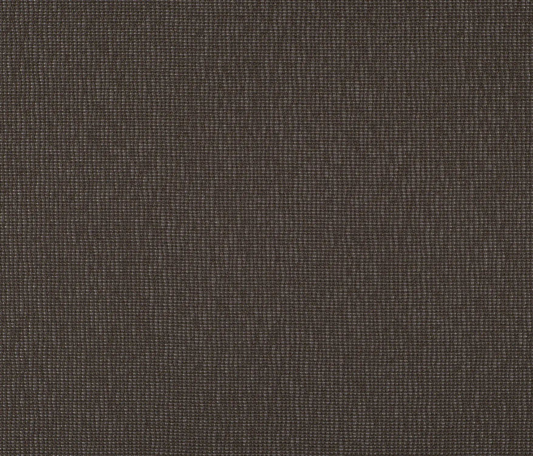 Carpet Concept - Drop 0052