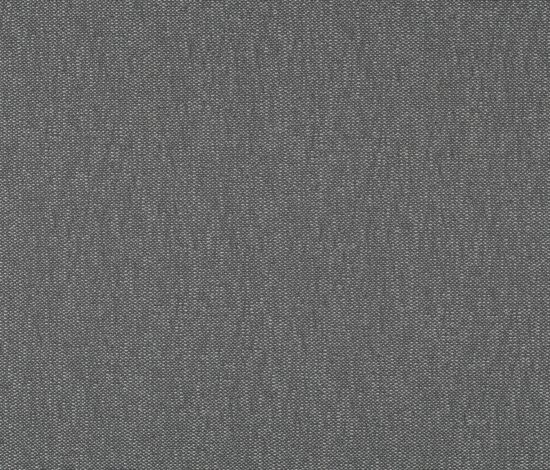 Carpet Concept - Drop 0060