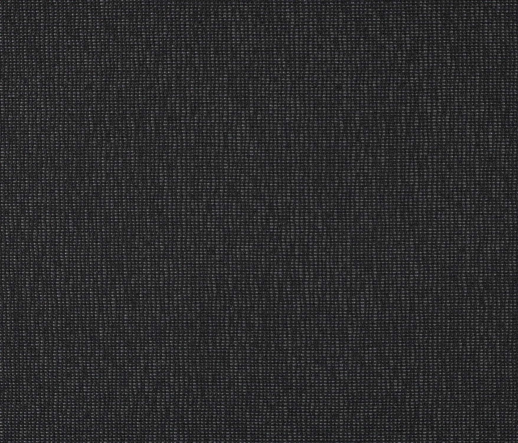 Carpet Concept - Drop 0068