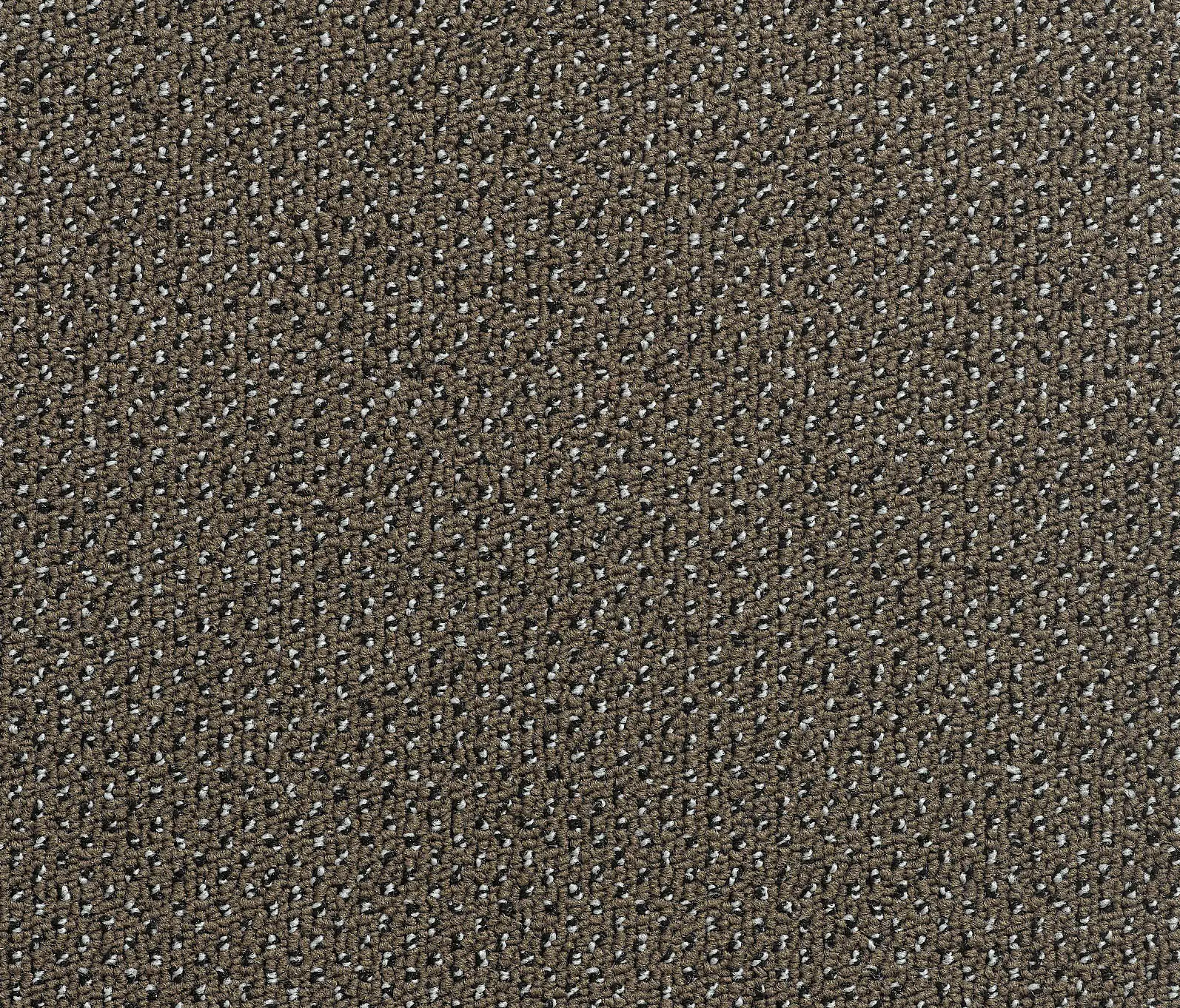 Carpet Concept - Concept 506 - 92