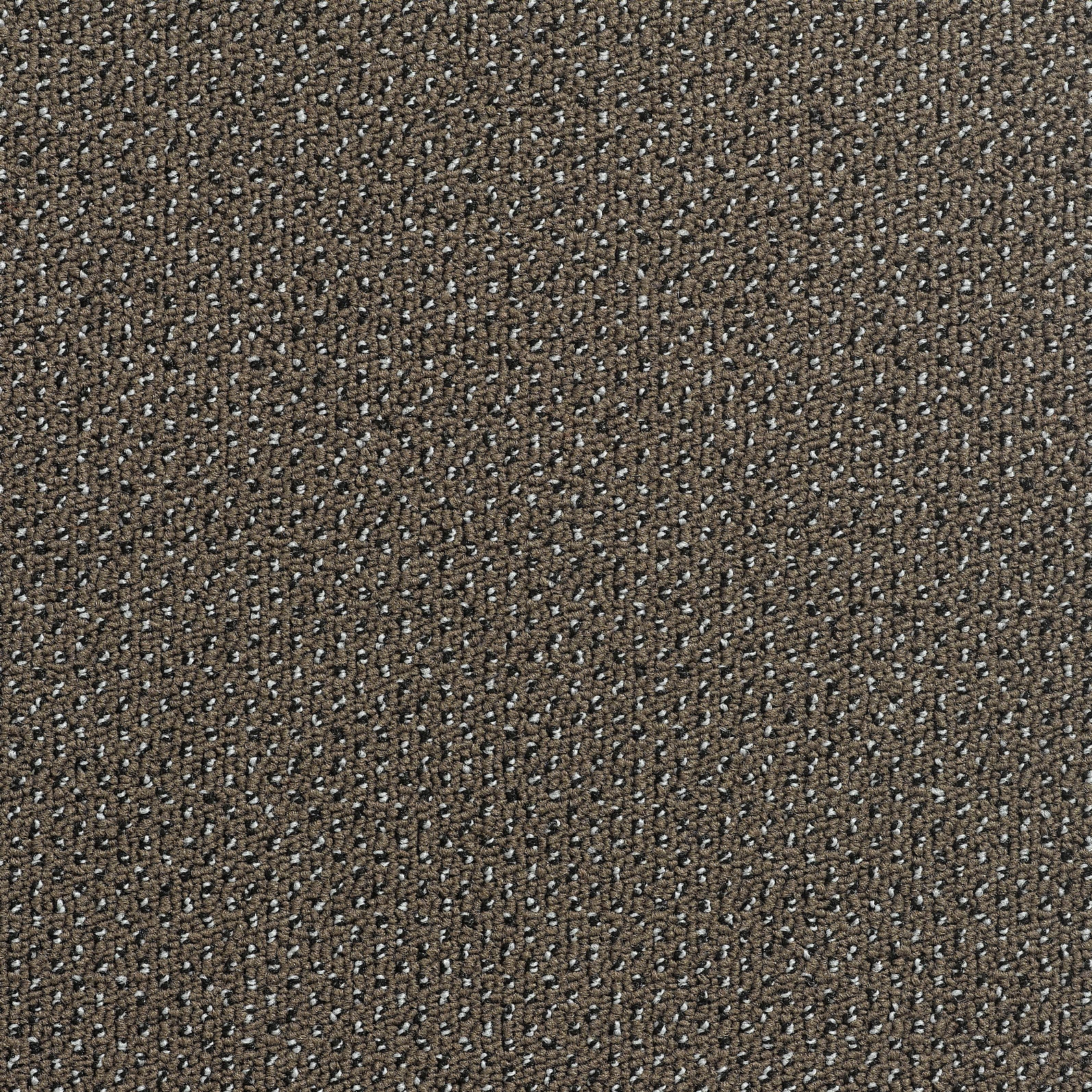 Concept 506 - 92