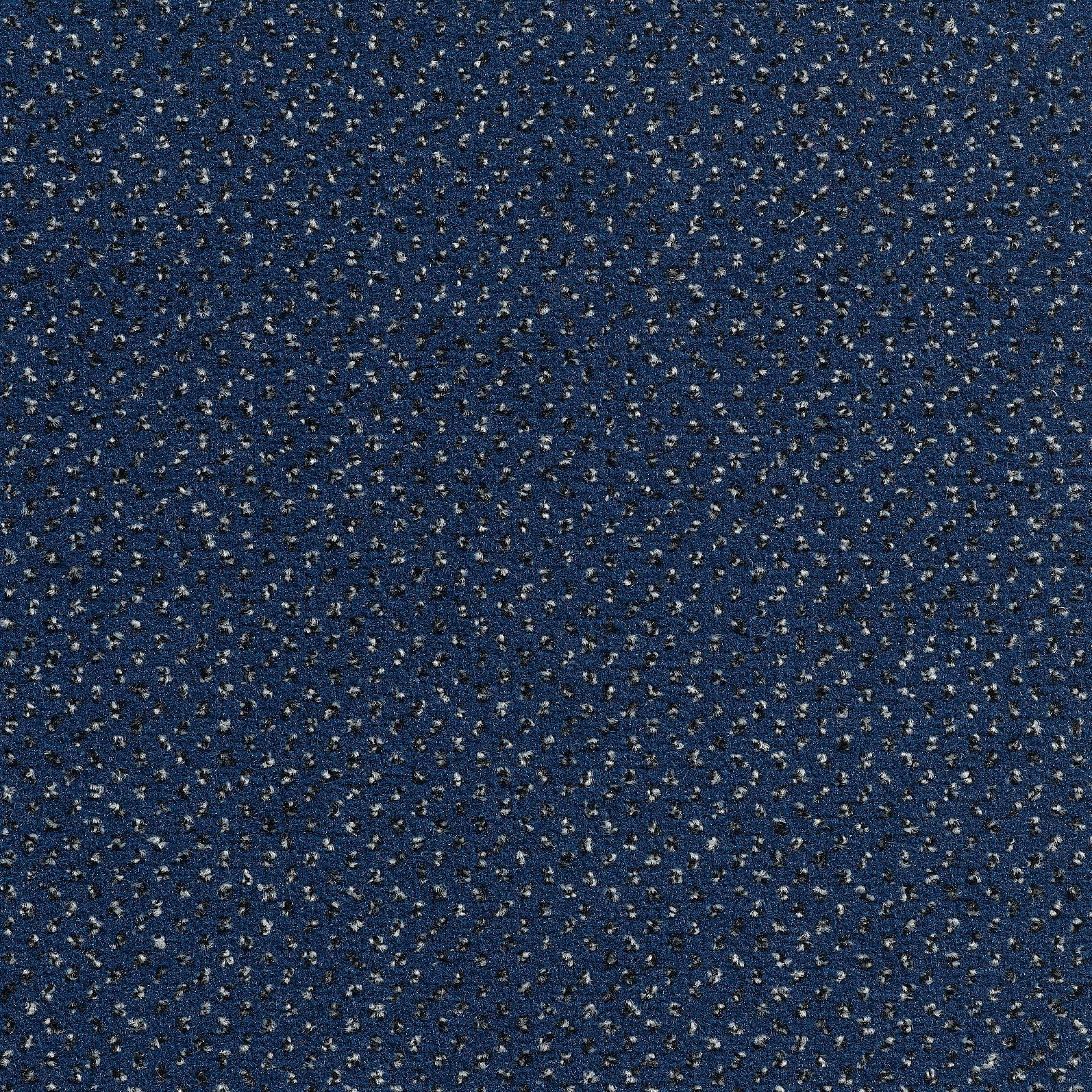 Concept 507 - 81