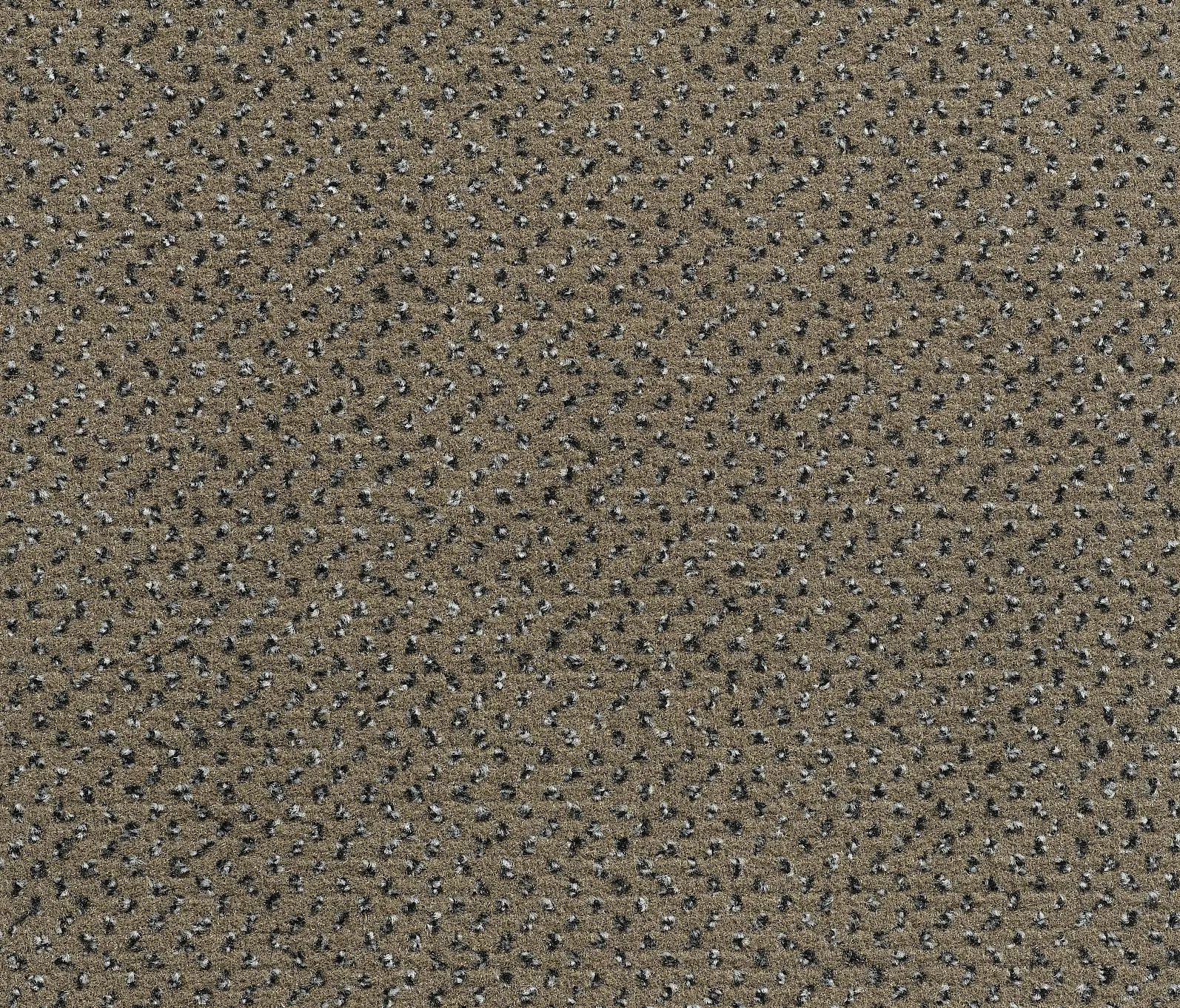 Carpet Concept - Concept 507 - 90