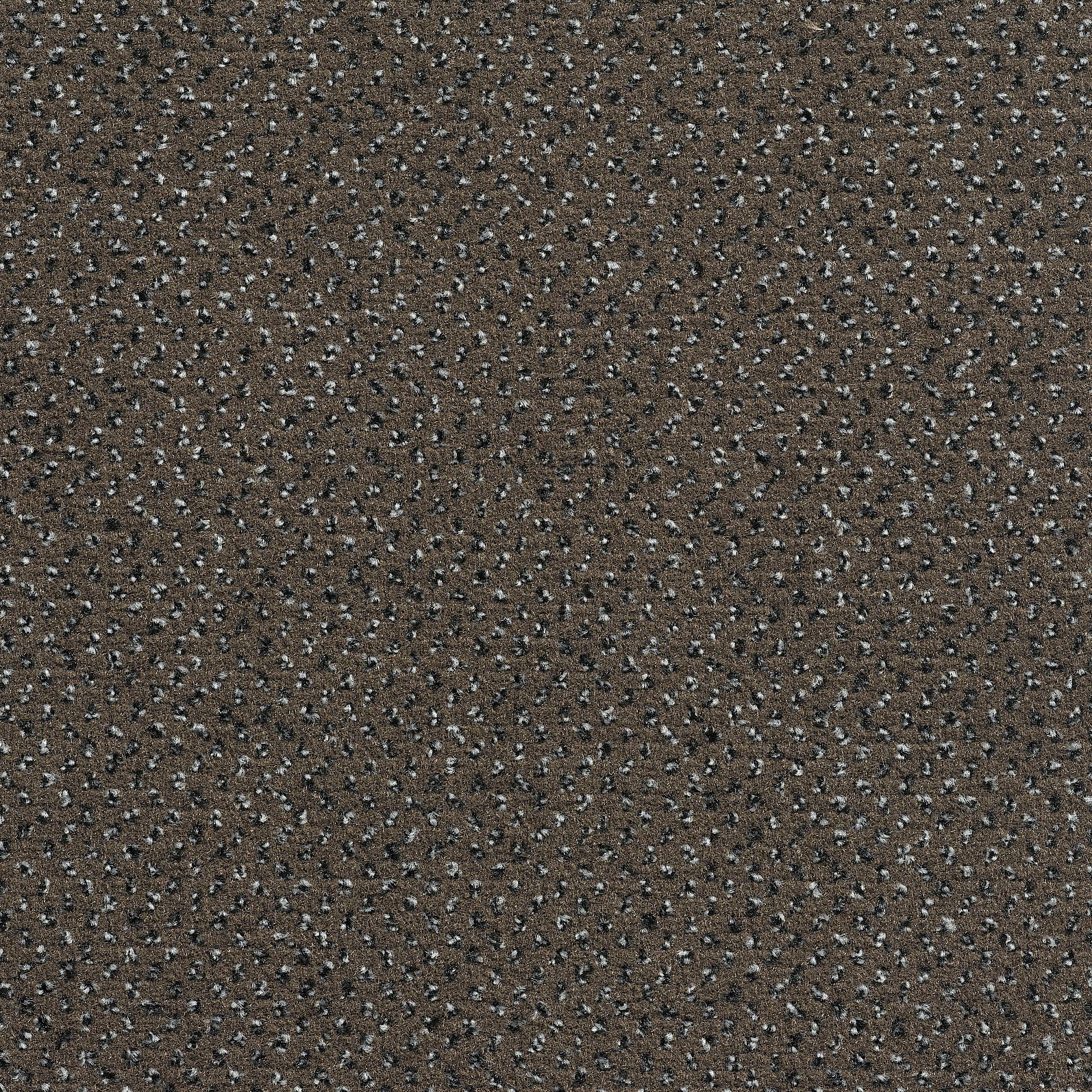 Concept 507 - 92