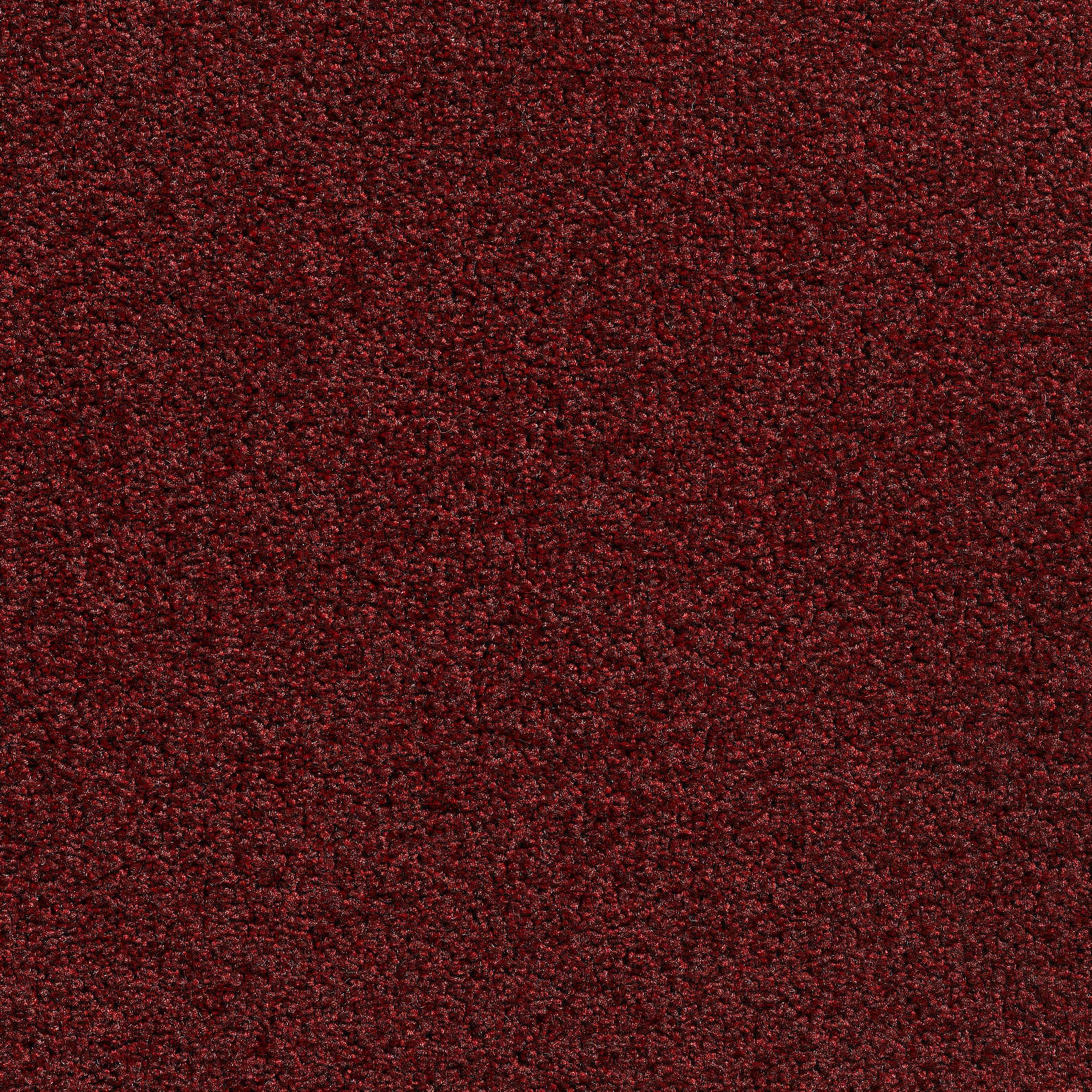 Produkt Concept 505 - 289 des Herstellers Carpet Concept anzeigen