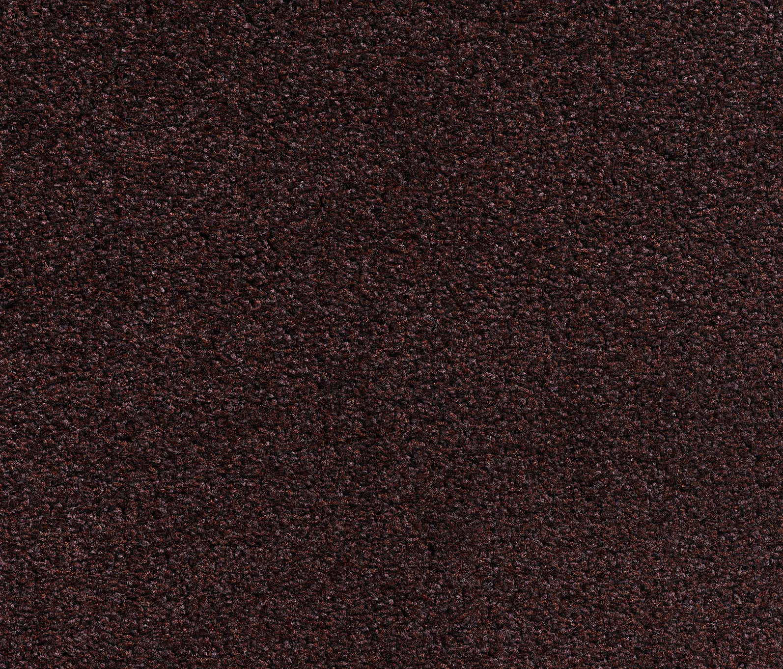 Carpet Concept - Concept 505 - 253