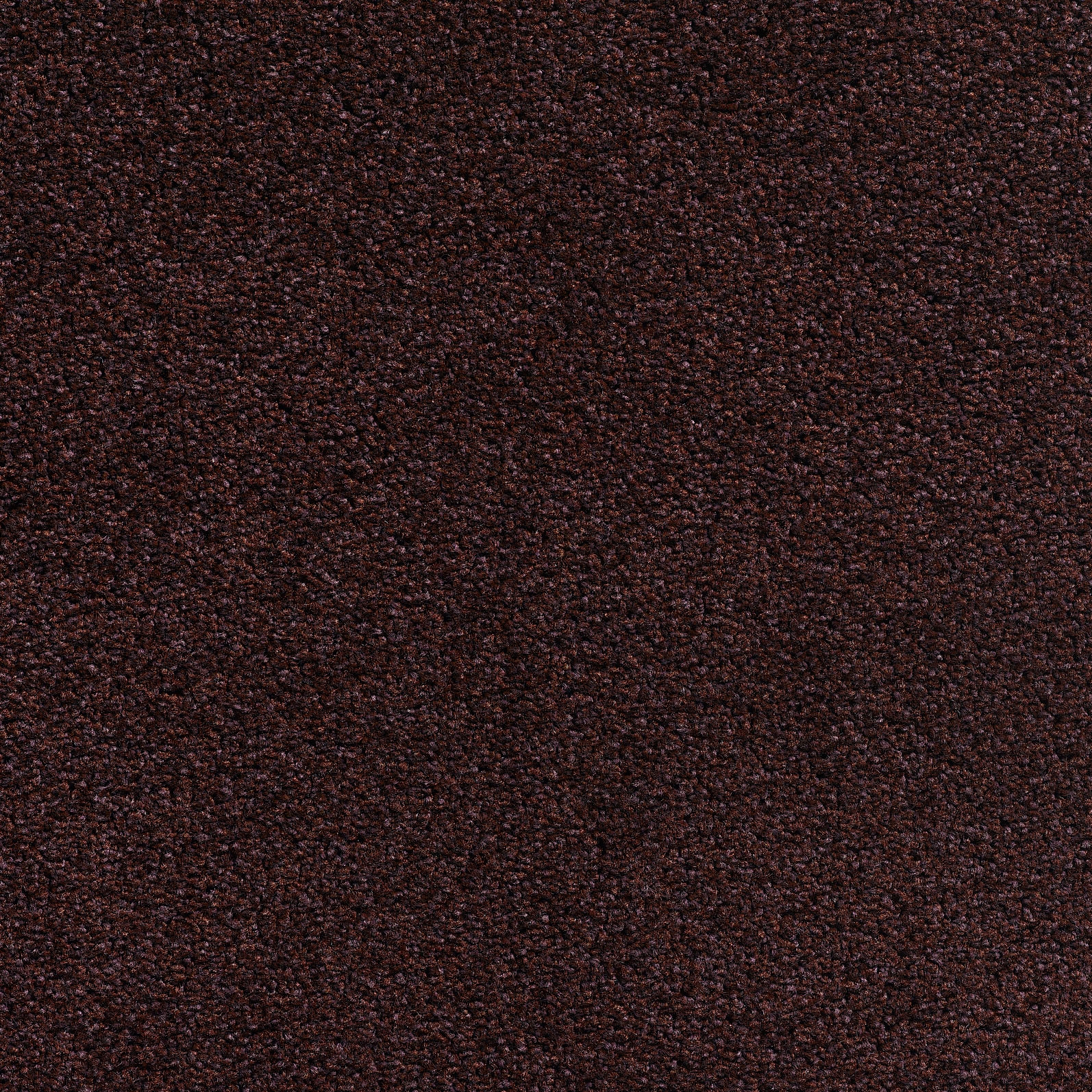Concept 505 - 253