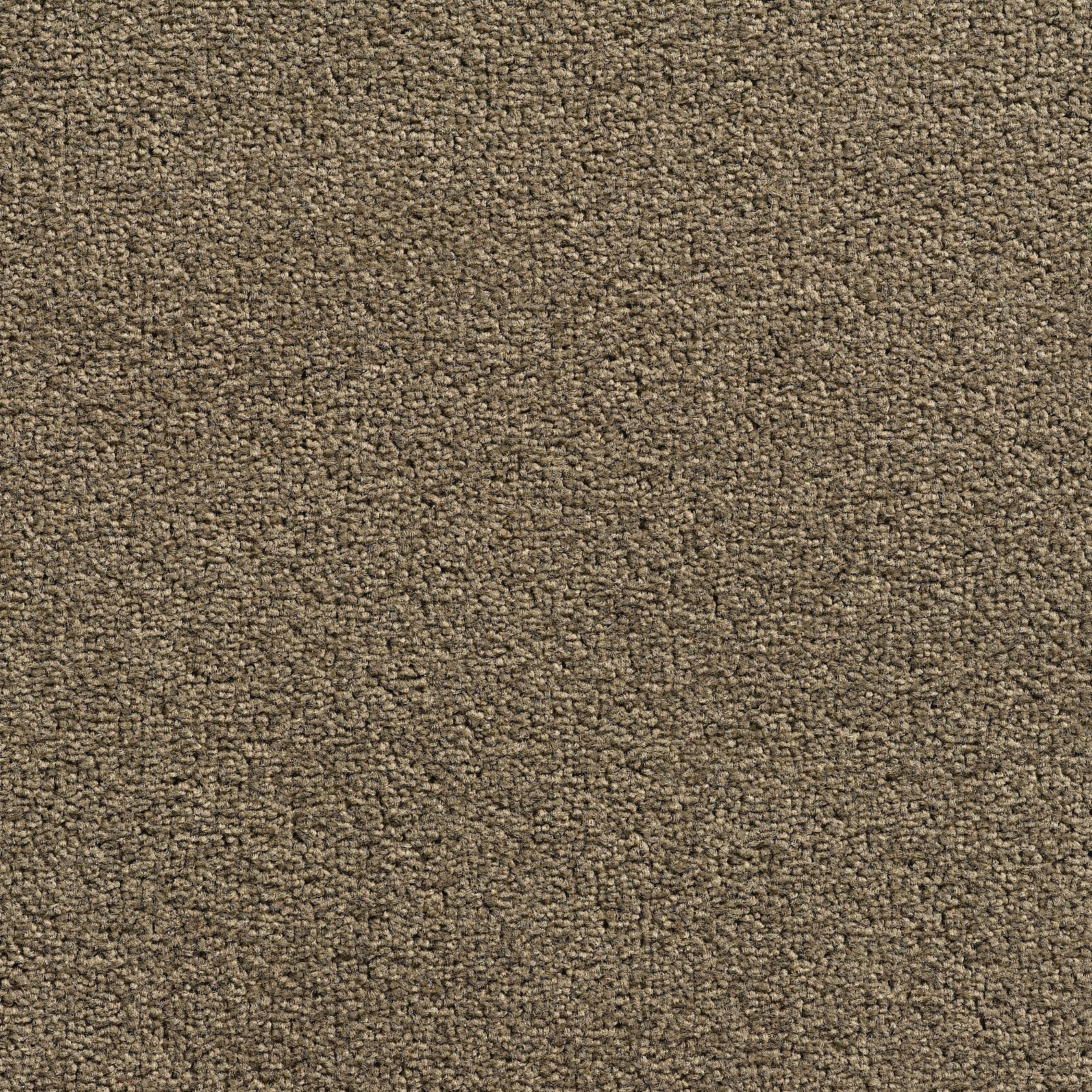 Concept 505 - 115