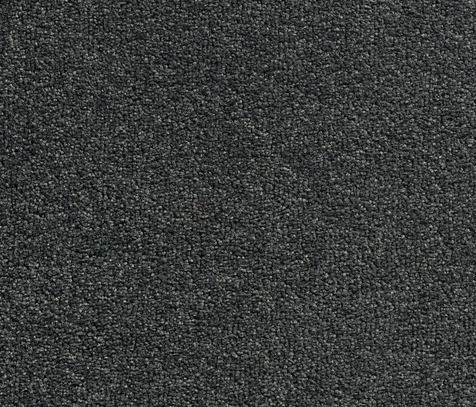 Carpet Concept - Concept 505 - 300