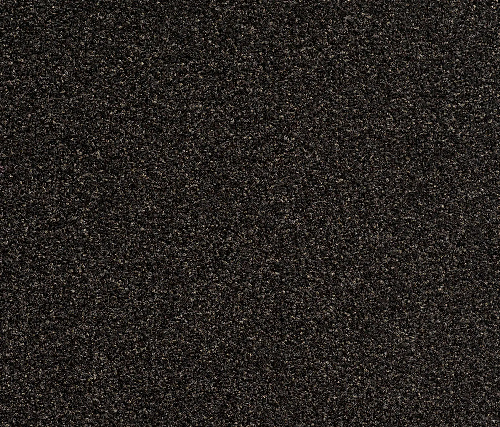 Carpet Concept - Concept 505 - 327