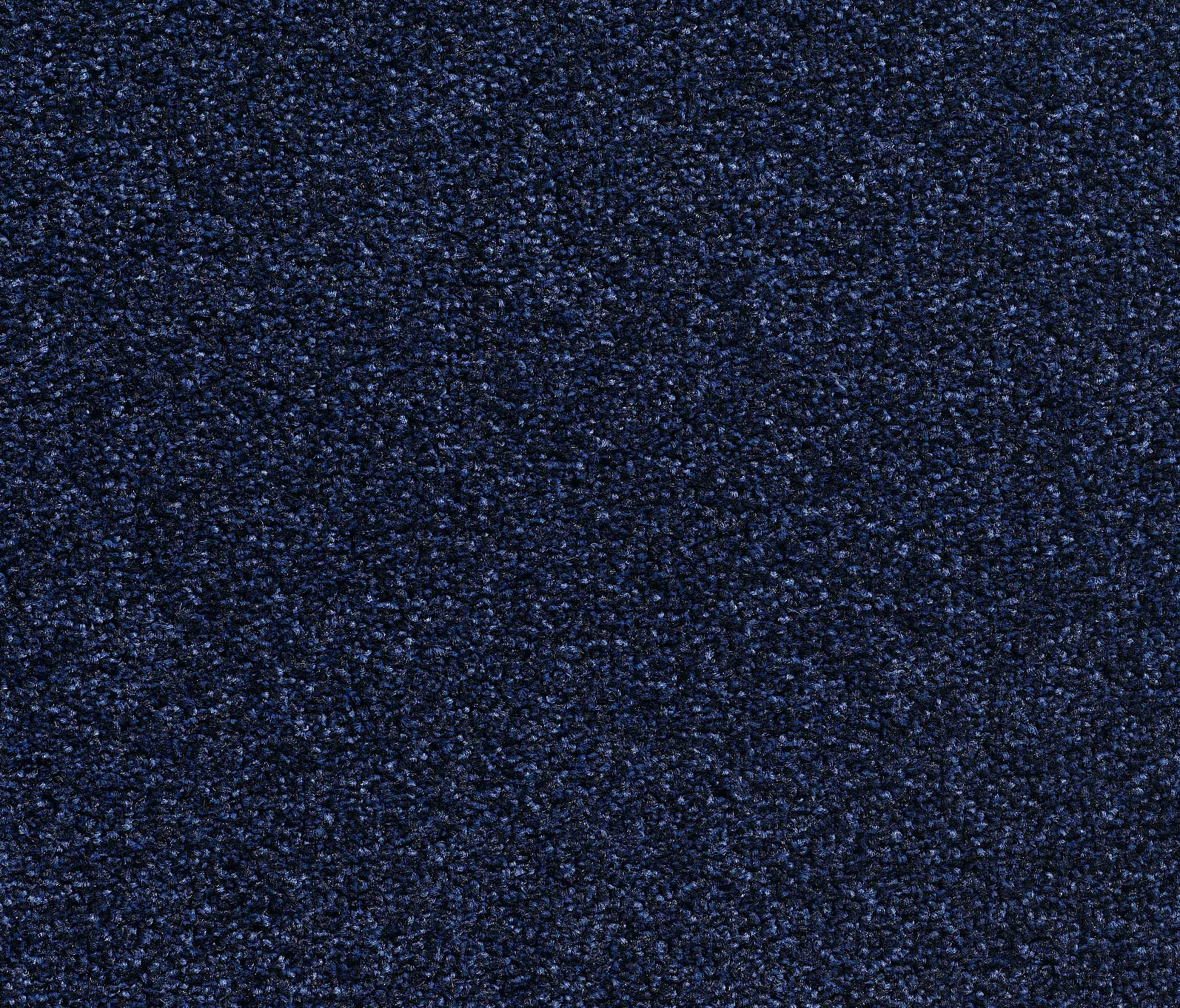 Carpet Concept - Concept 505 - 410