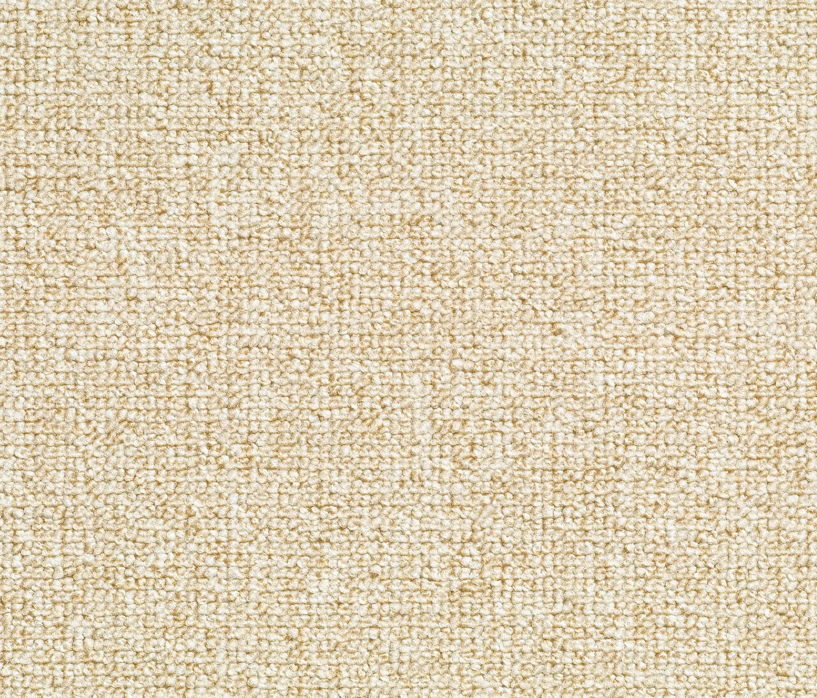 Carpet Concept - Concept 509 - 115
