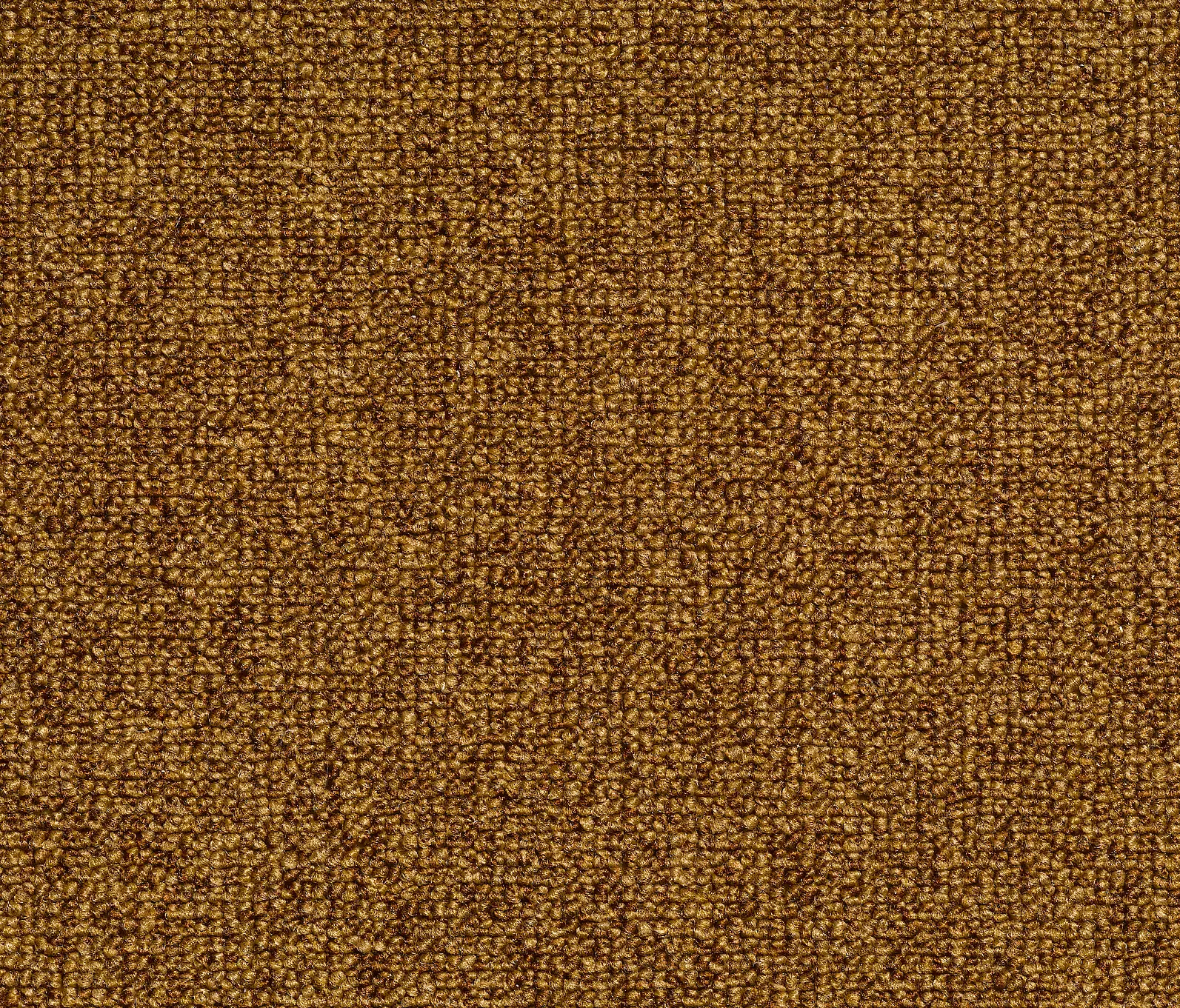 Carpet Concept - Concept 509 - 160