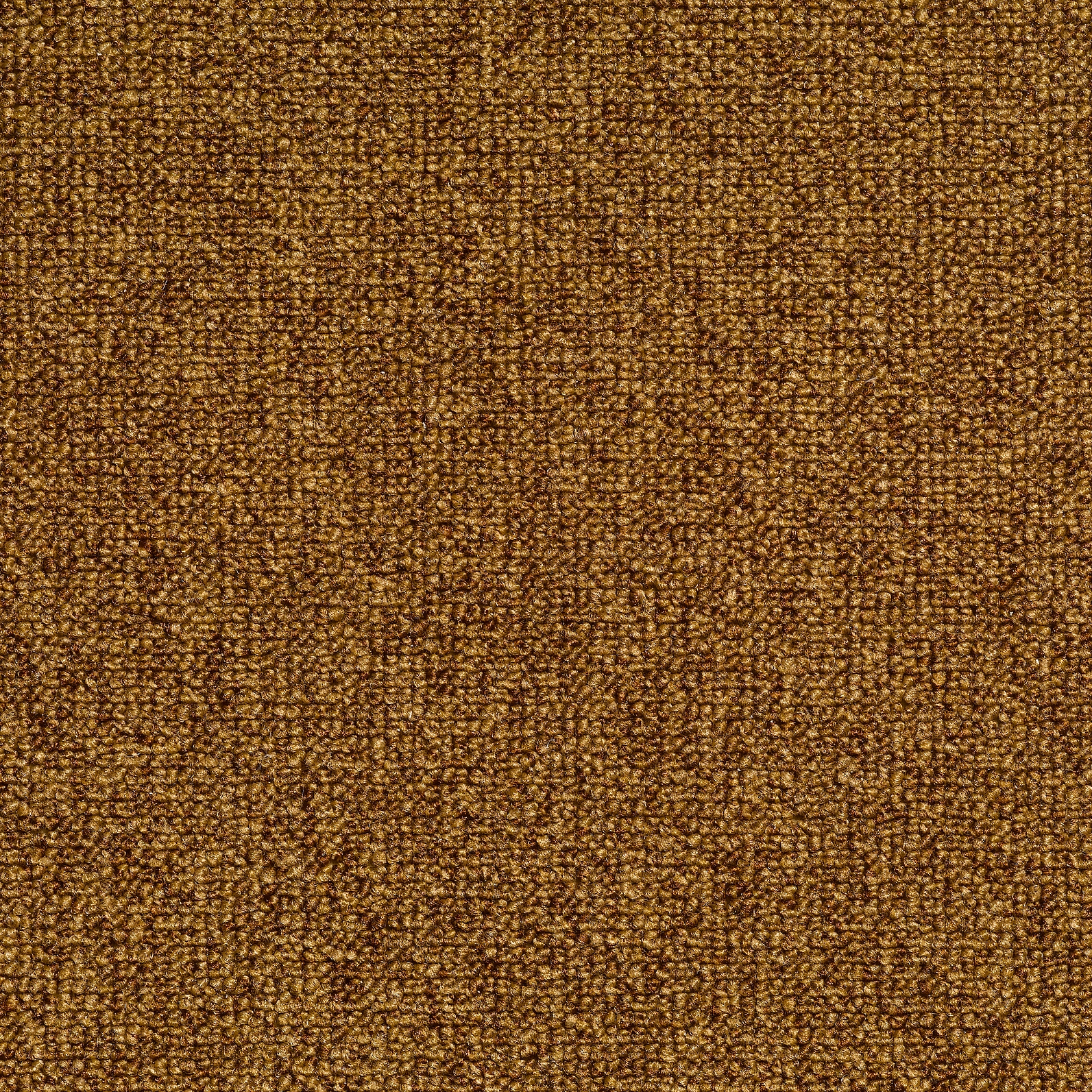 Concept 509 - 160