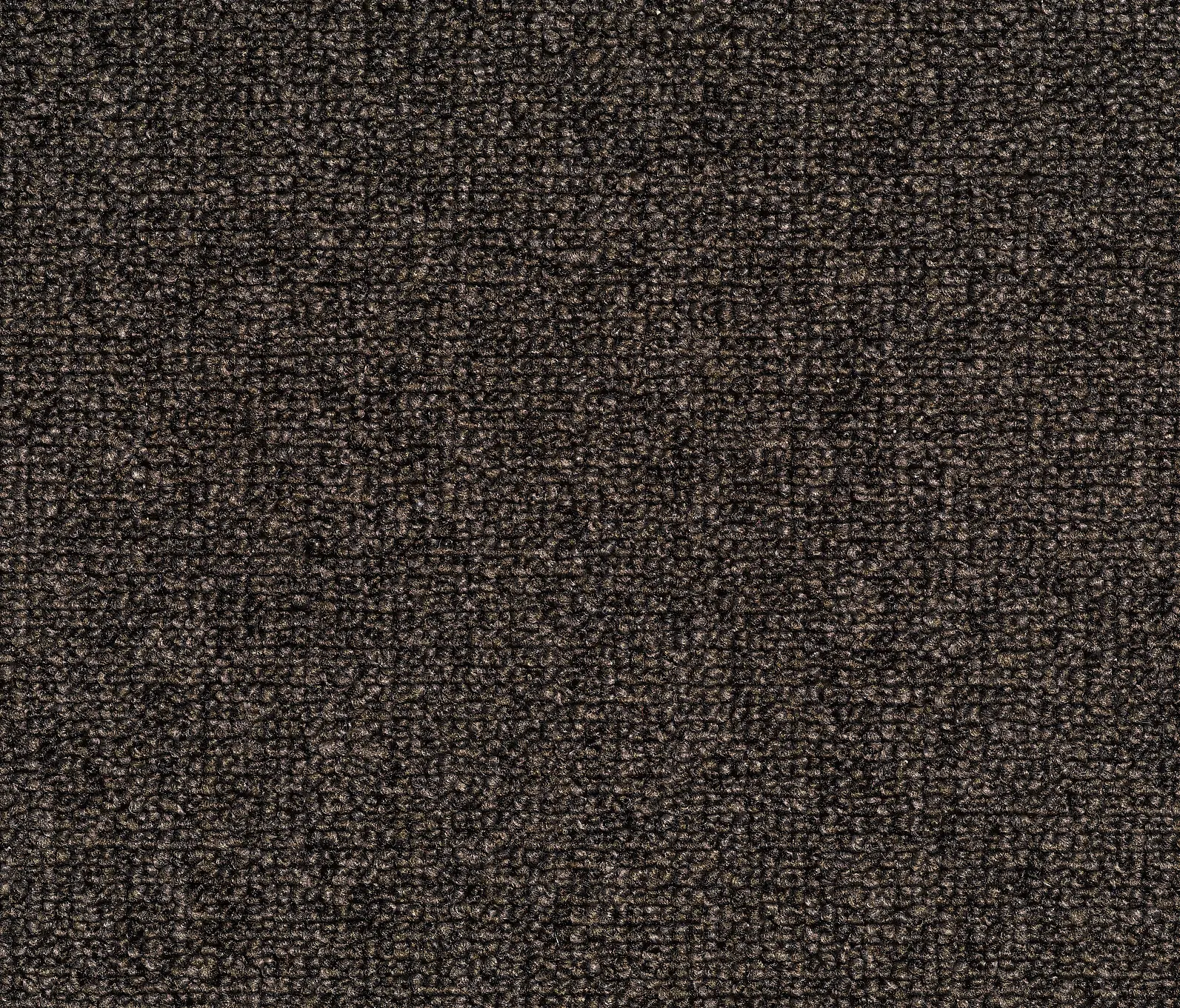 Carpet Concept - Concept 509 - 189