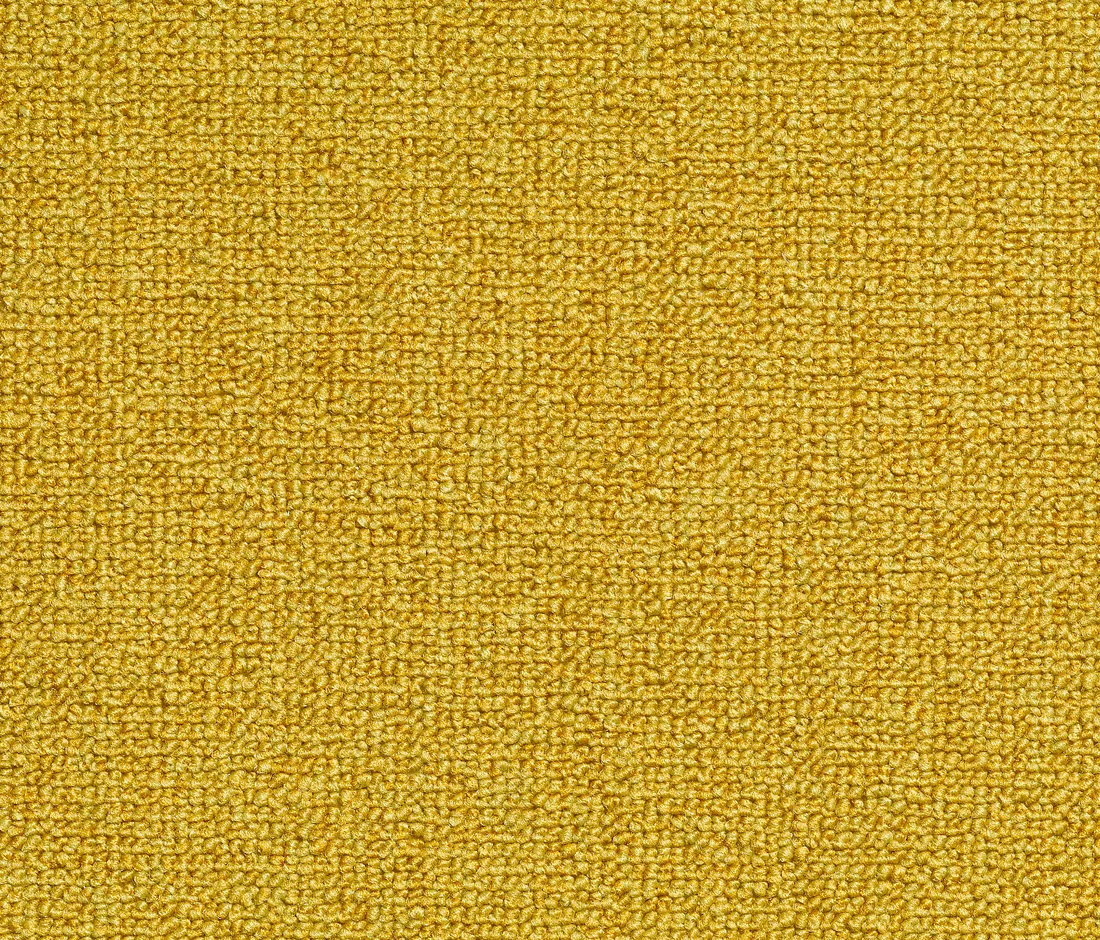 Carpet Concept - Concept 509 - 202