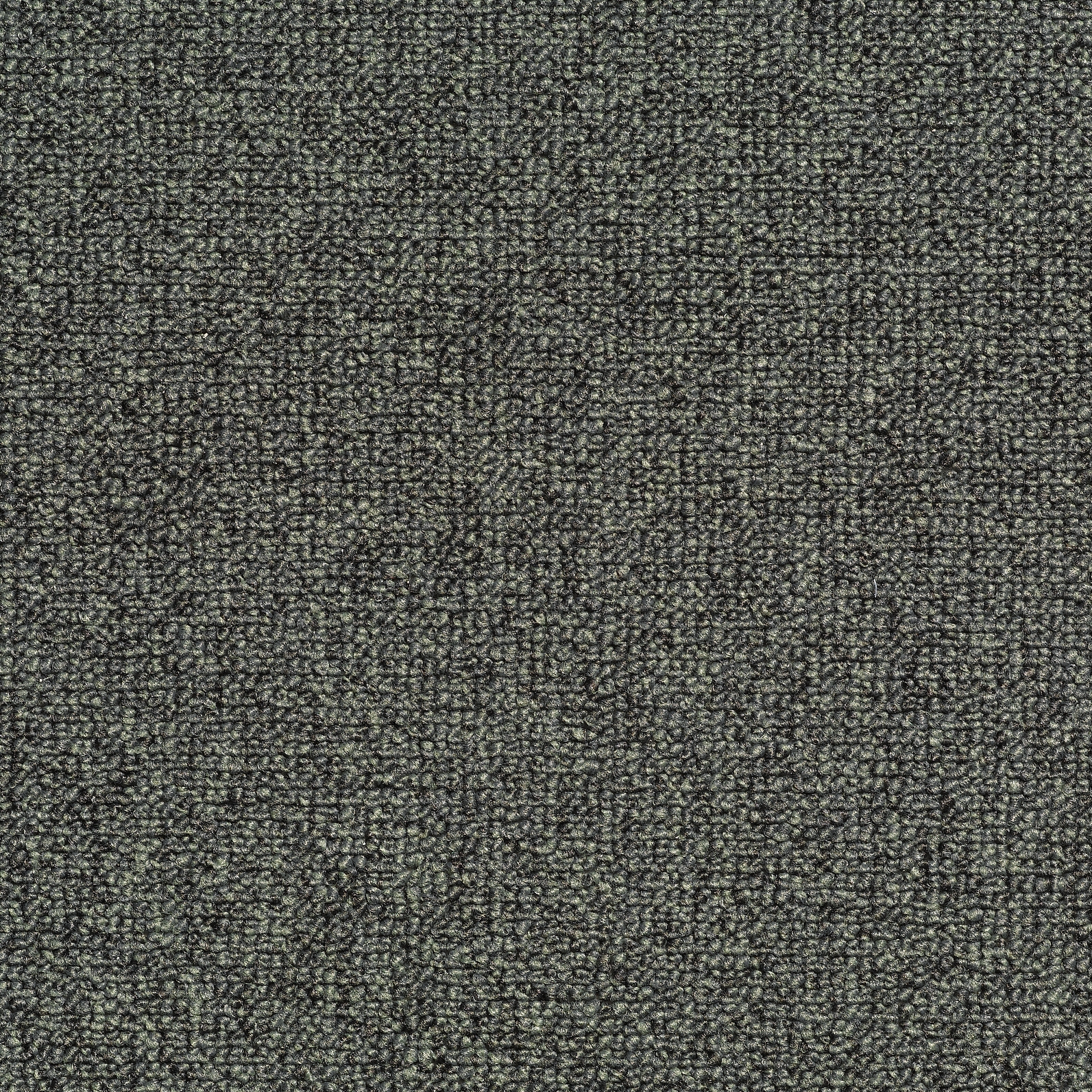 Concept 509 - 306