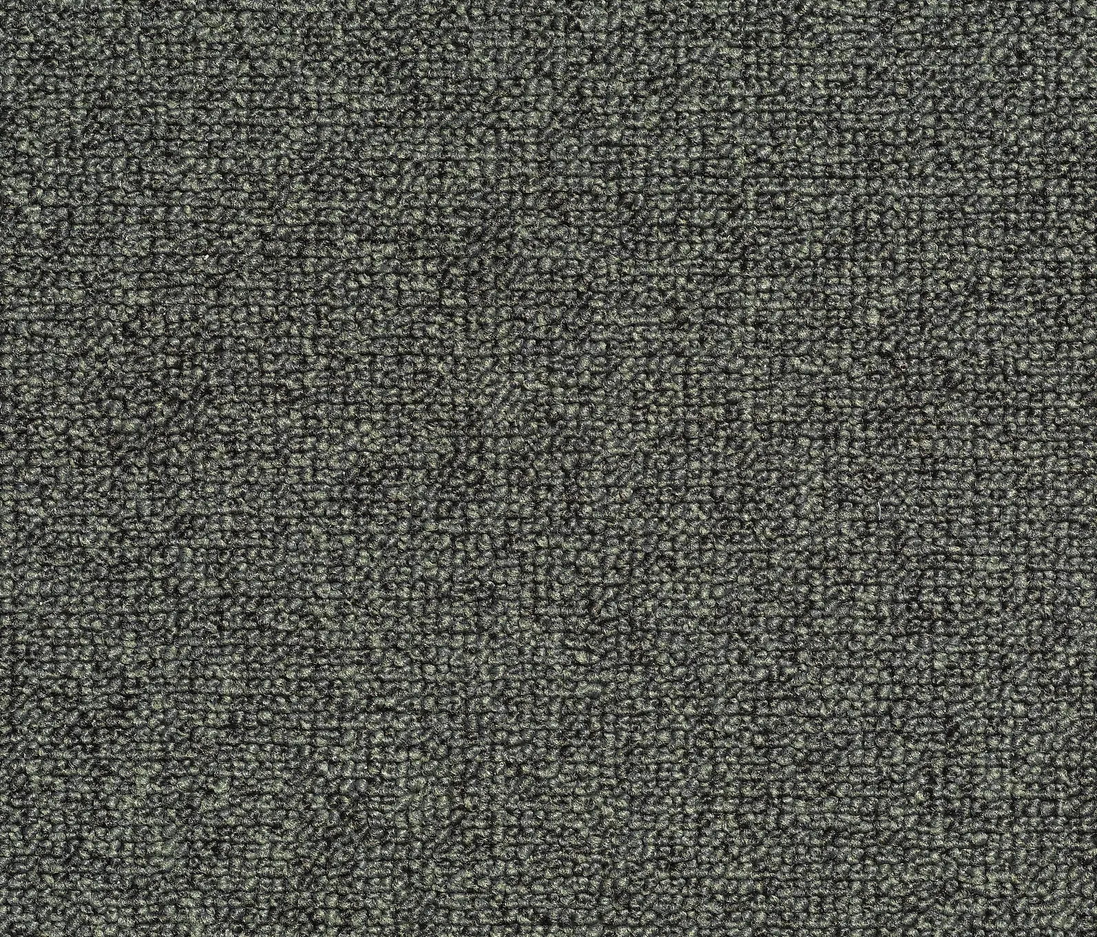 Carpet Concept - Concept 509 - 306