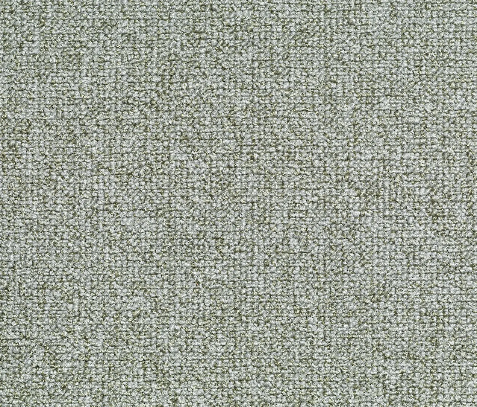 Carpet Concept - Concept 509 - 519