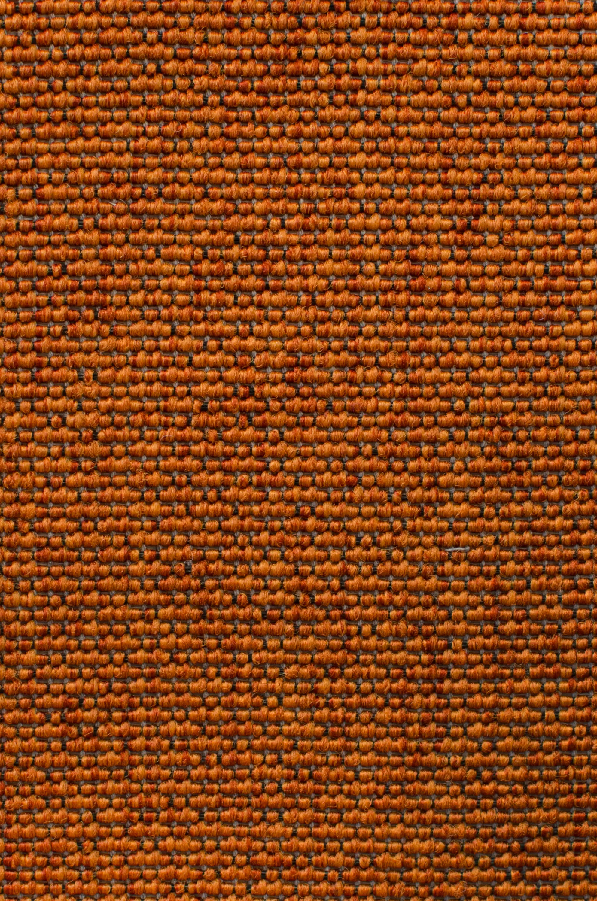 Carpet Concept - Eco Iqu 280020-8262