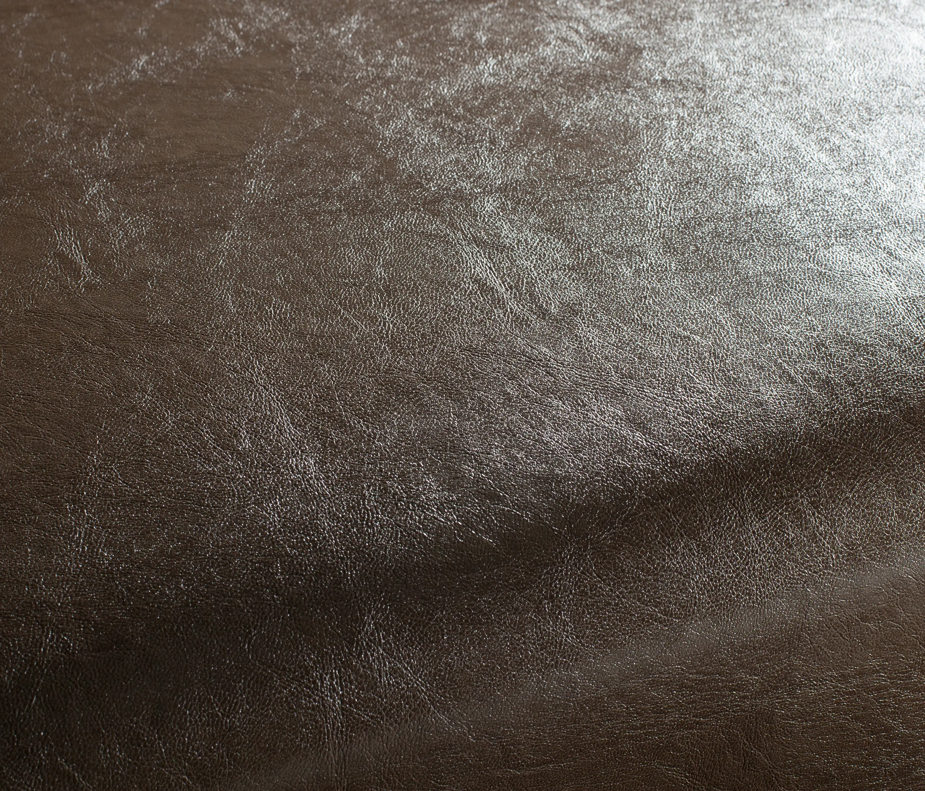 Carpet Concept - Secc 1021