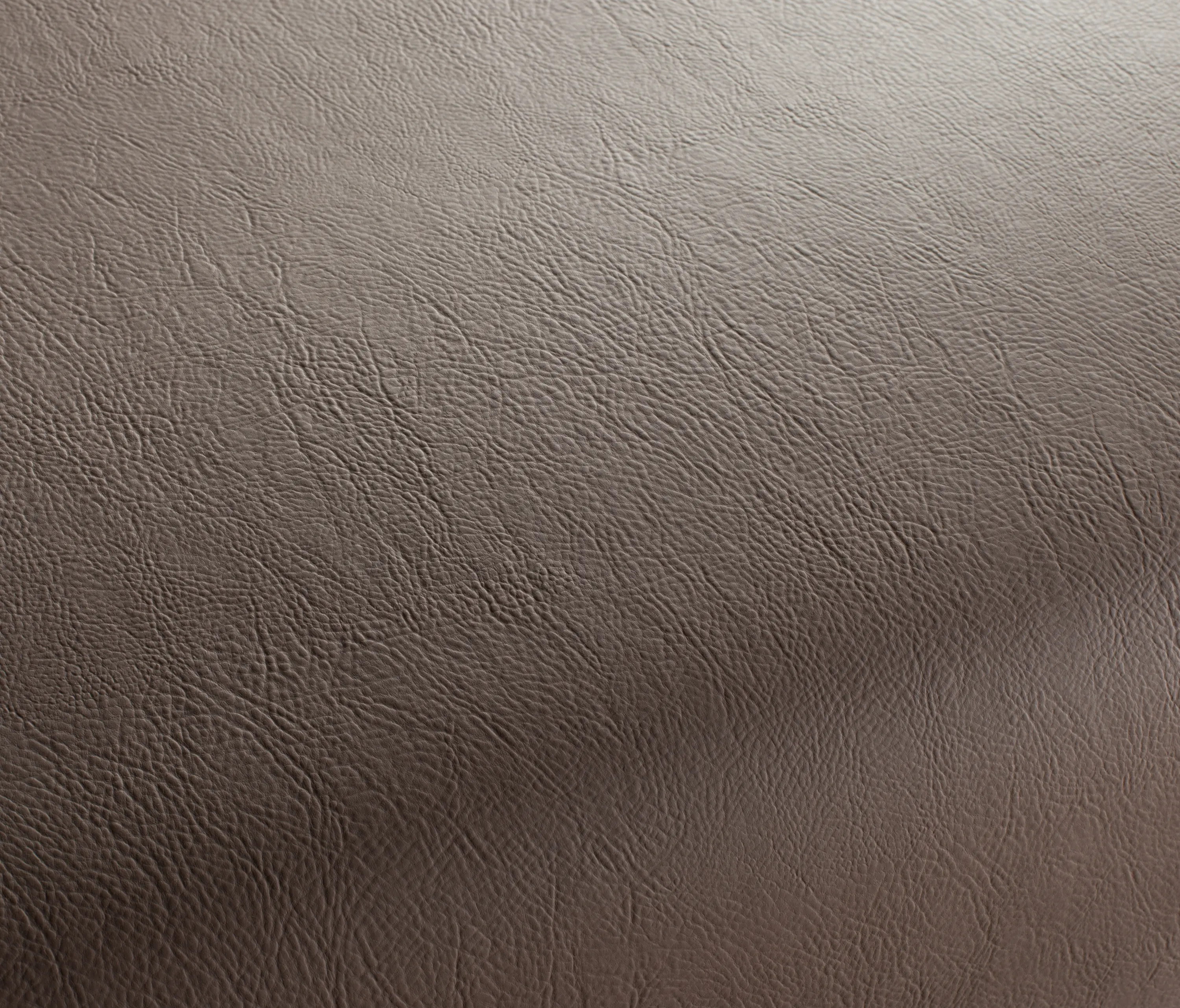 Carpet Concept - Secc 2122