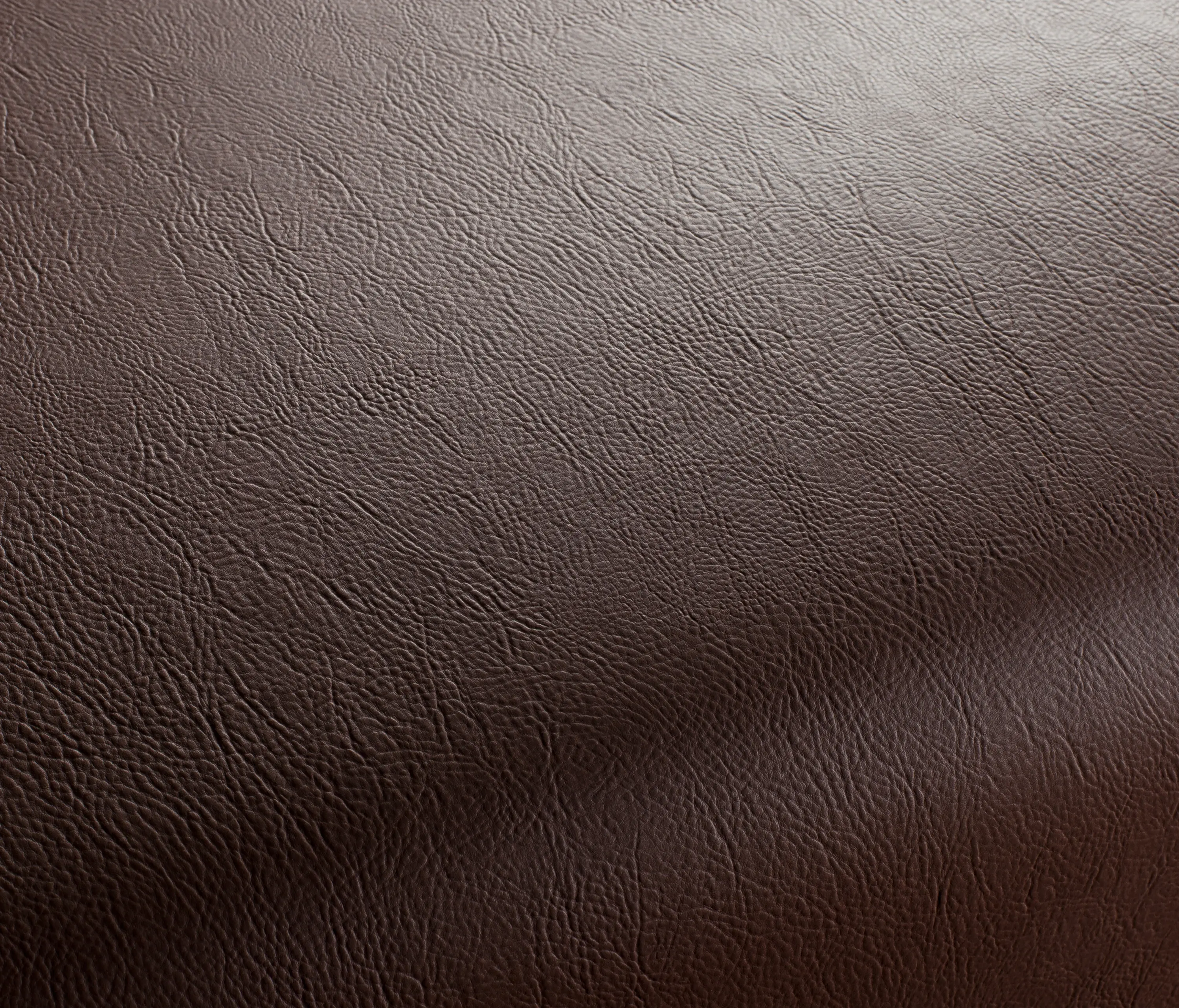Carpet Concept - Secc 2221