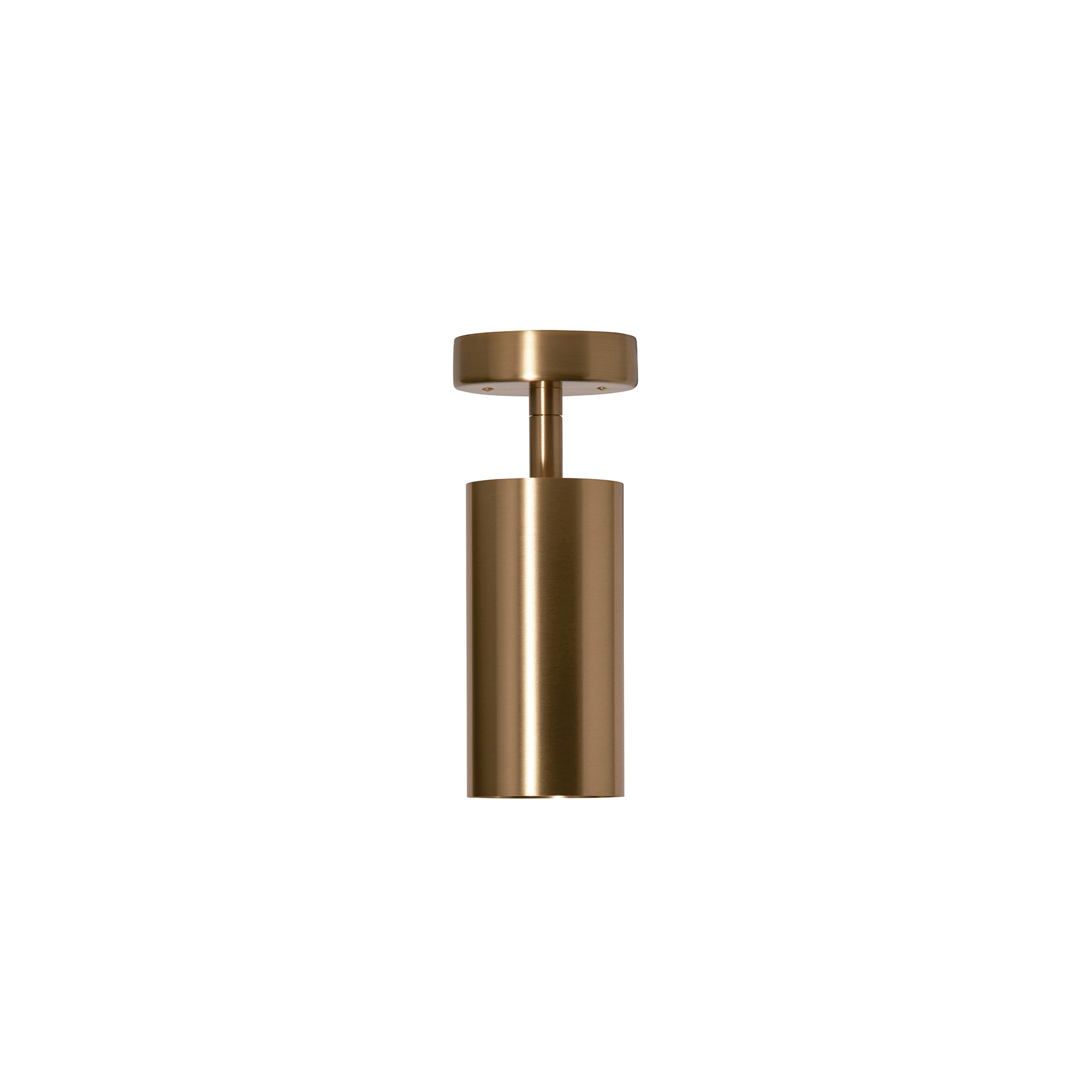 Joey Spot with Cup - Large - Brass (Height 220mm)