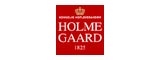 Logo di Holmegaard
