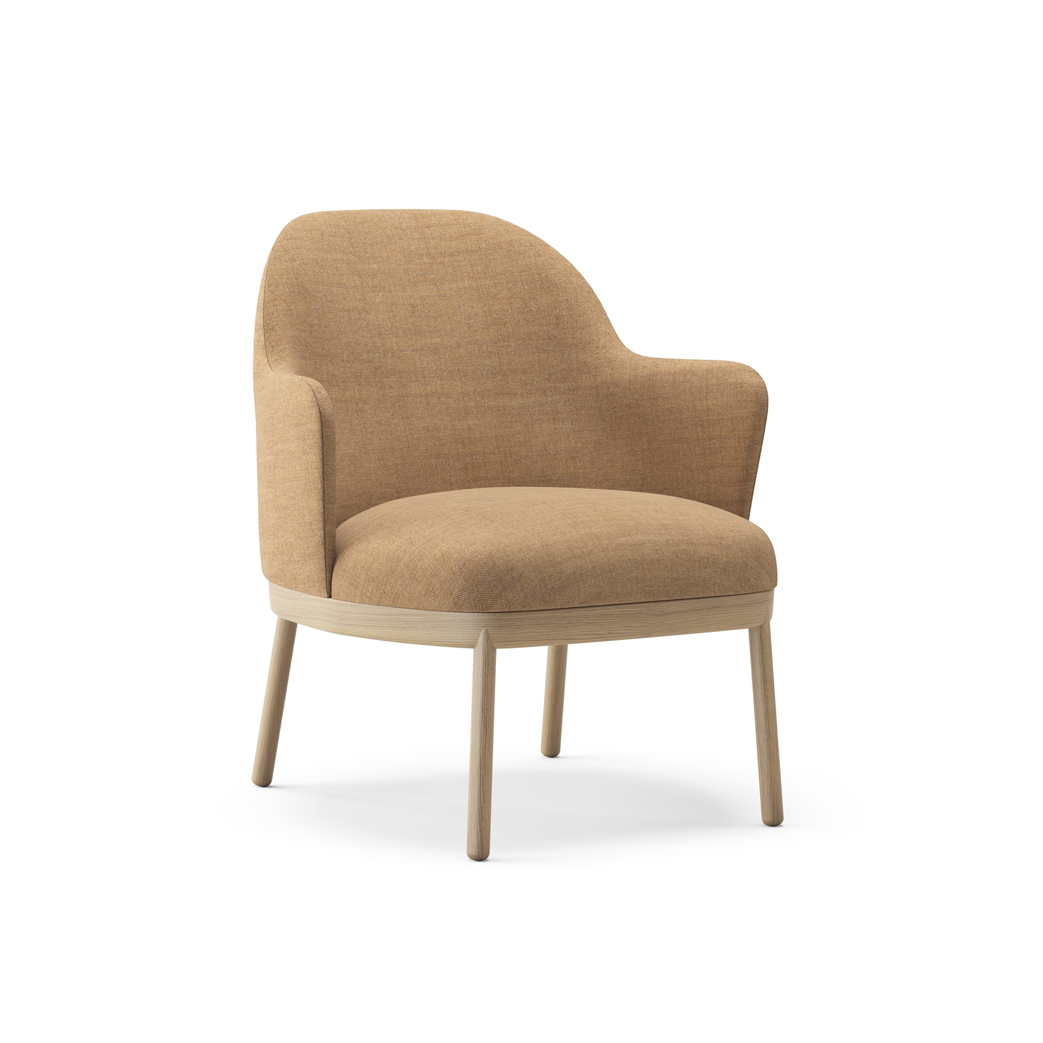 Aleta lounge chair with wooden base & armrest