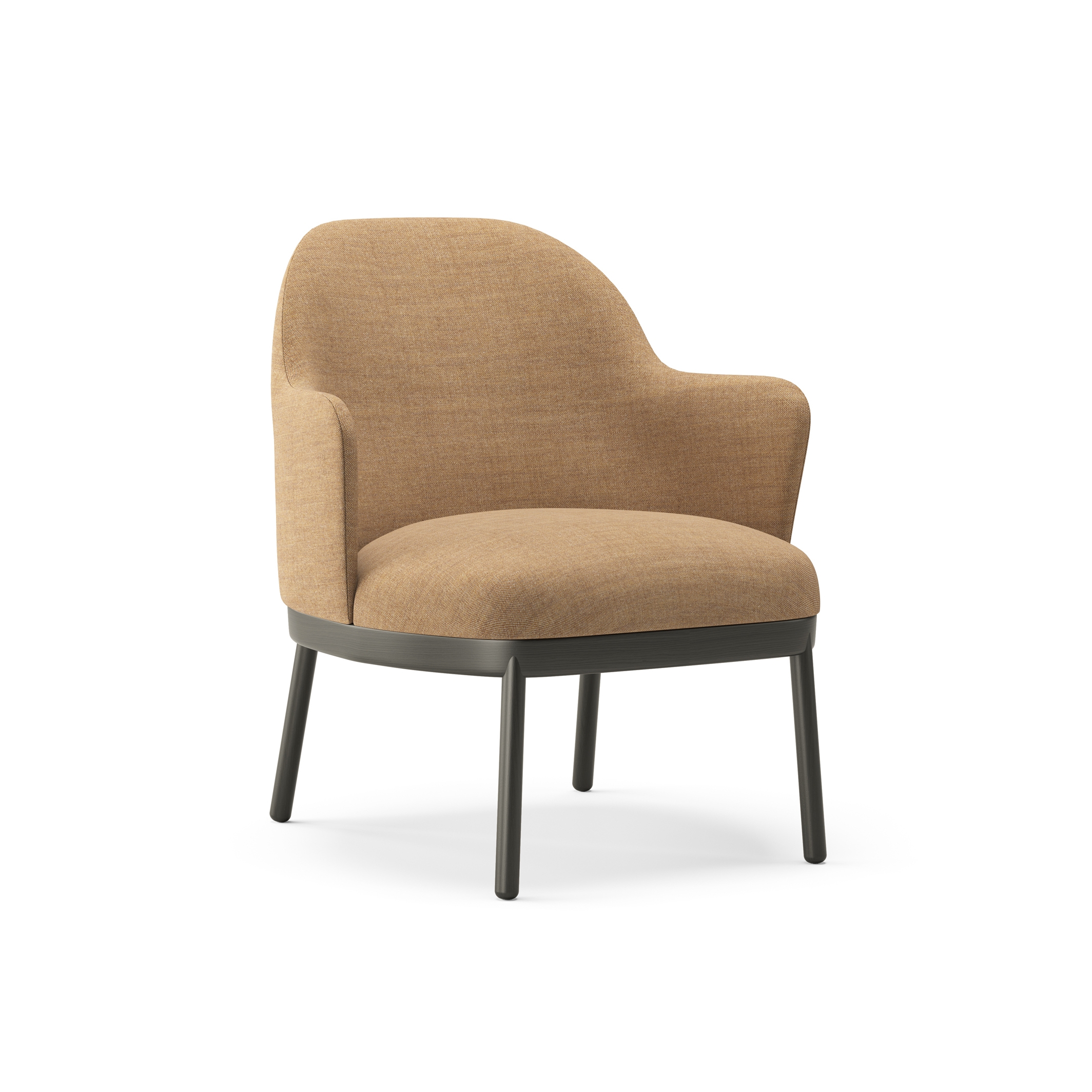 Mostra il prodotto Aleta lounge chair with wooden base & armrest del produttore viccarbe